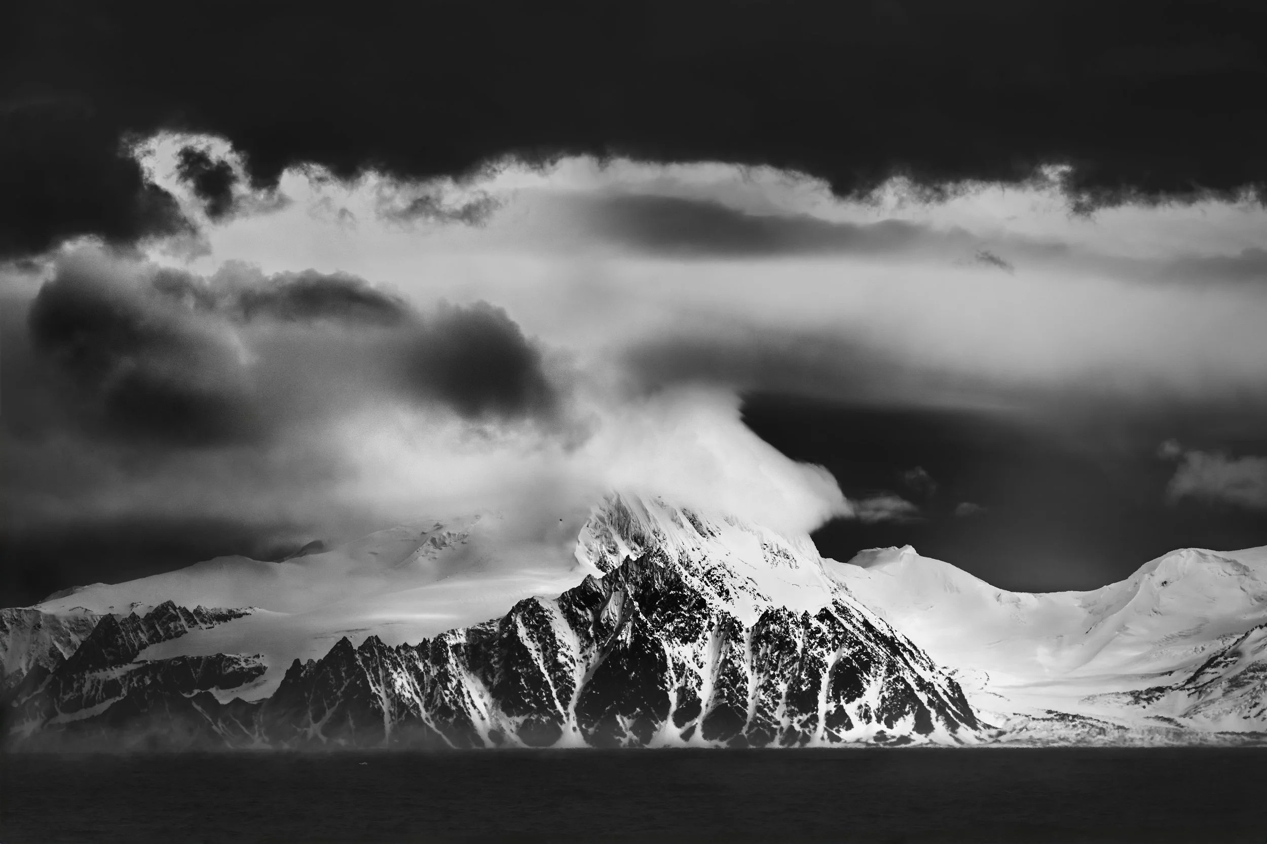 SILENT GUARDIAN © Pratibha Reddy