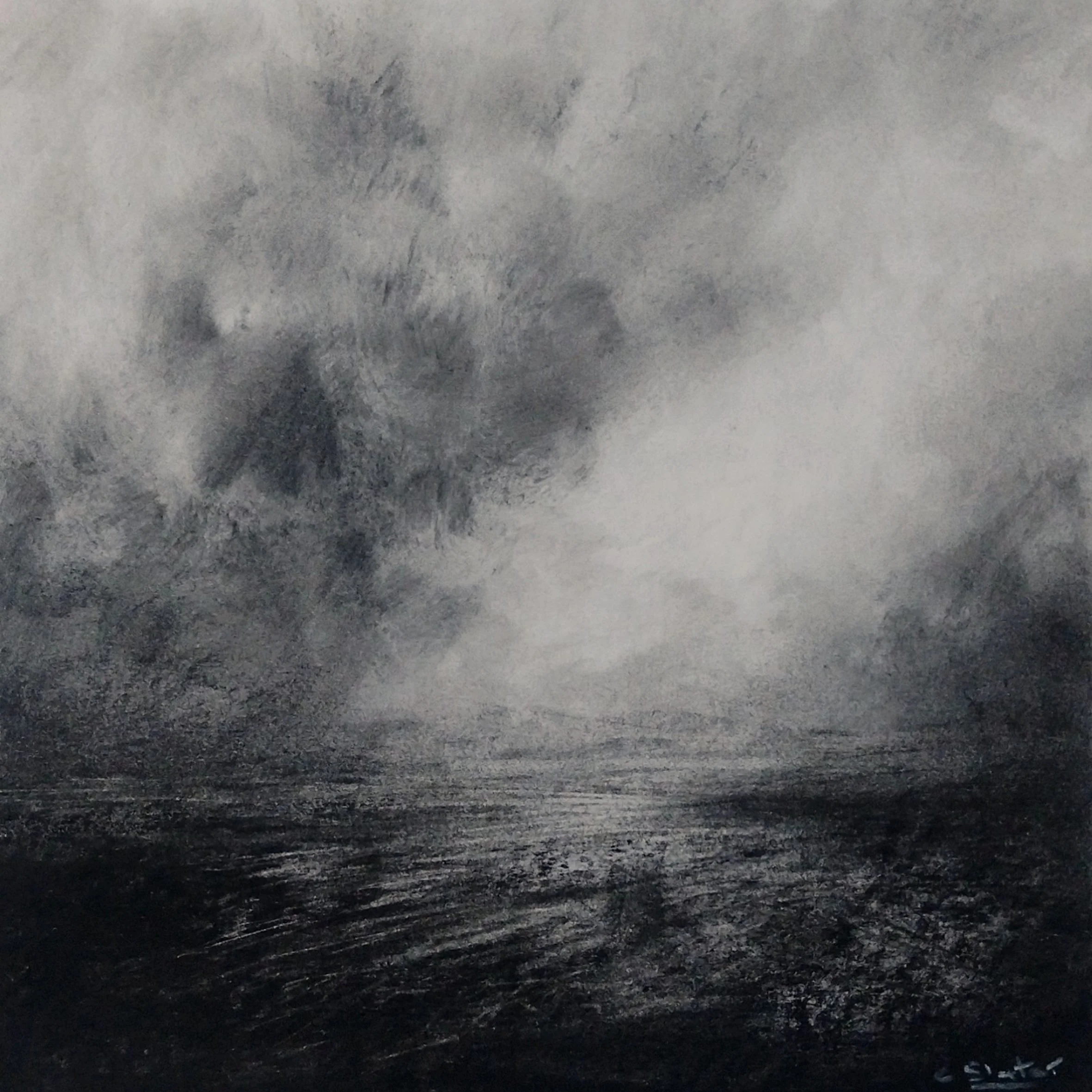 Natute we see charcoal study 20cm x 20cm on paper.jpg