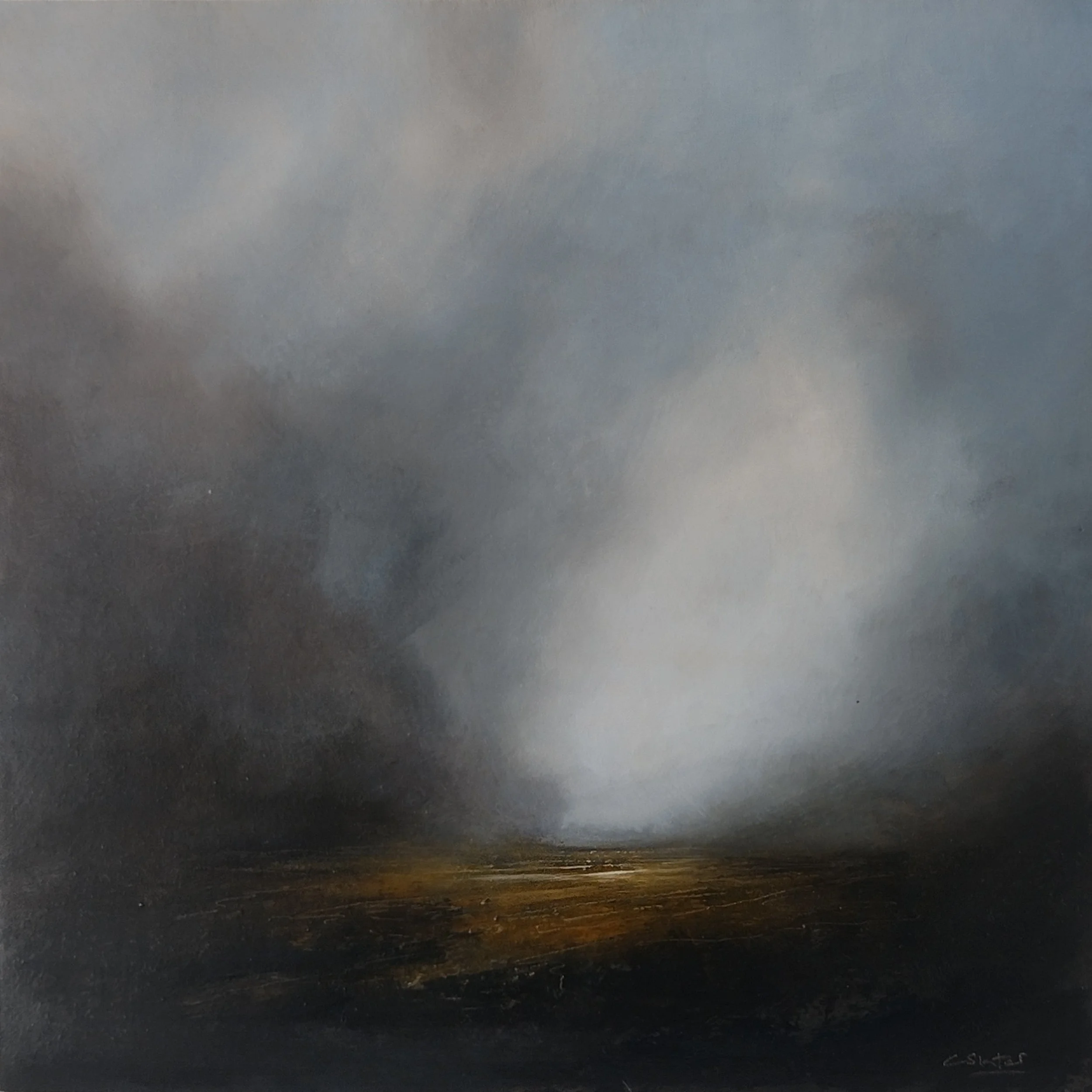 light in the storm 30cm x 30cm.jpg
