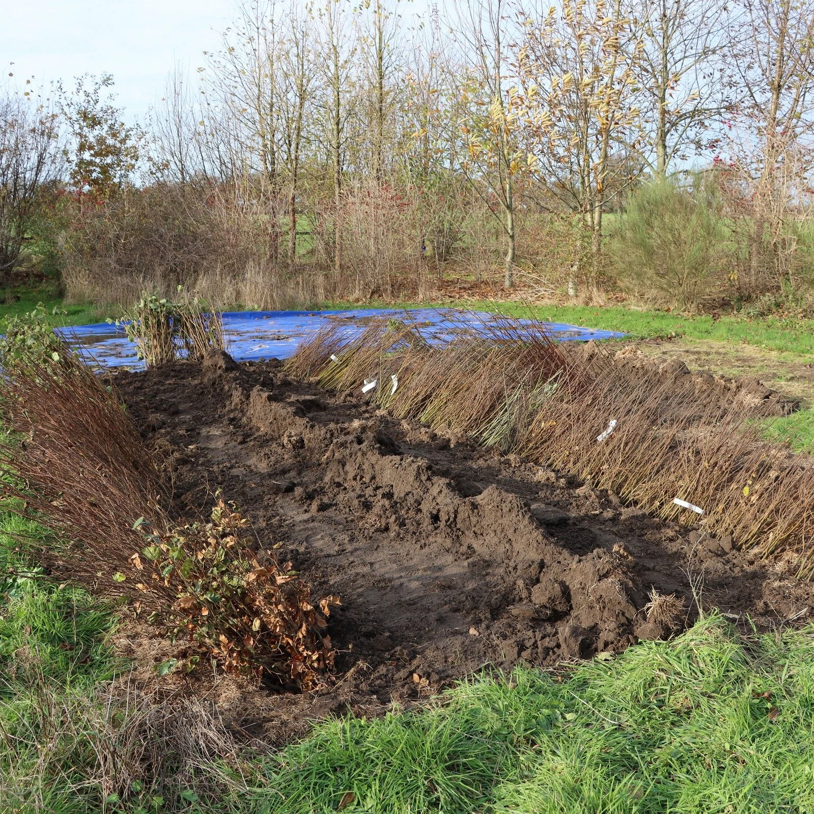 Vele handen maken licht werk