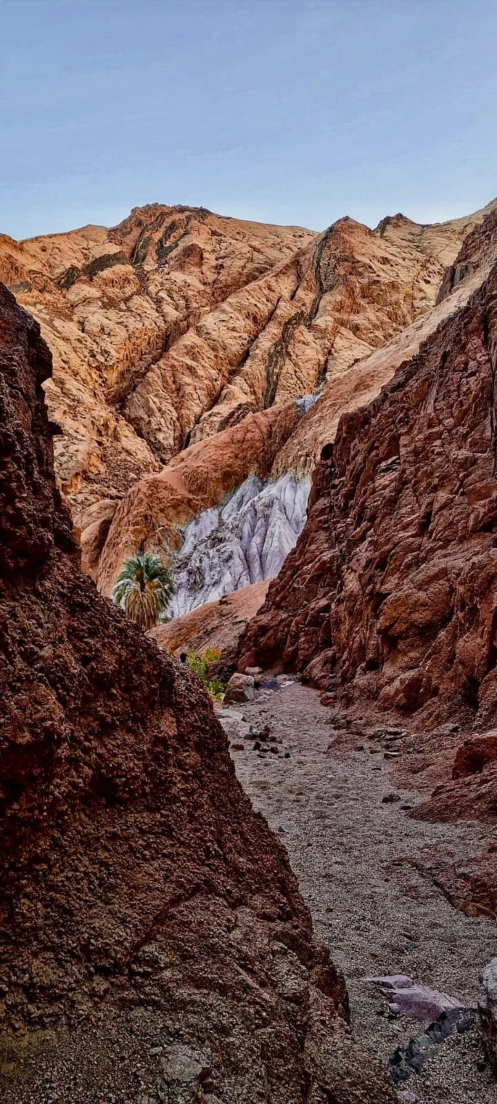 Hike in the wadi