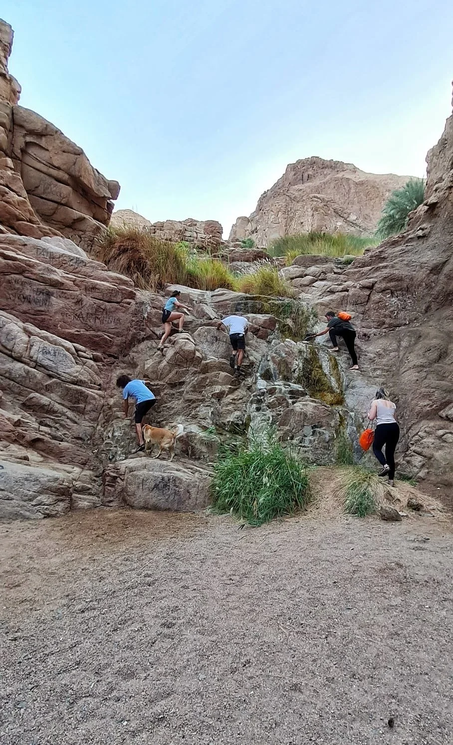 Hike in the wadi