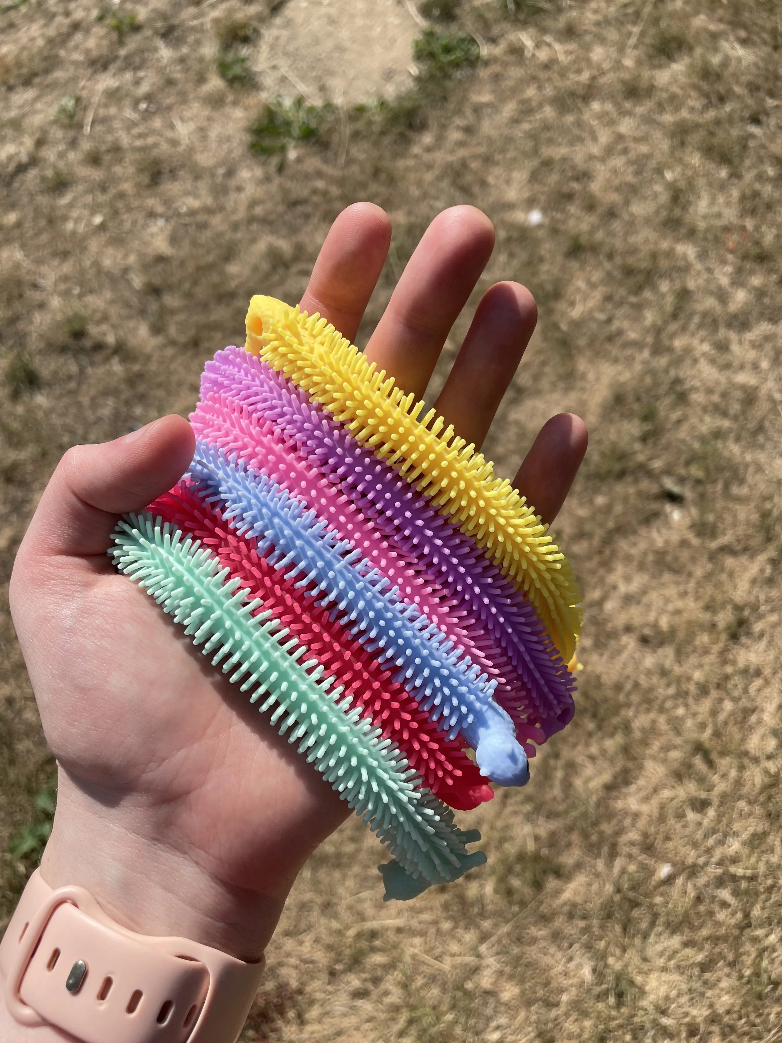 Llama Stretchy Noodles.jpg