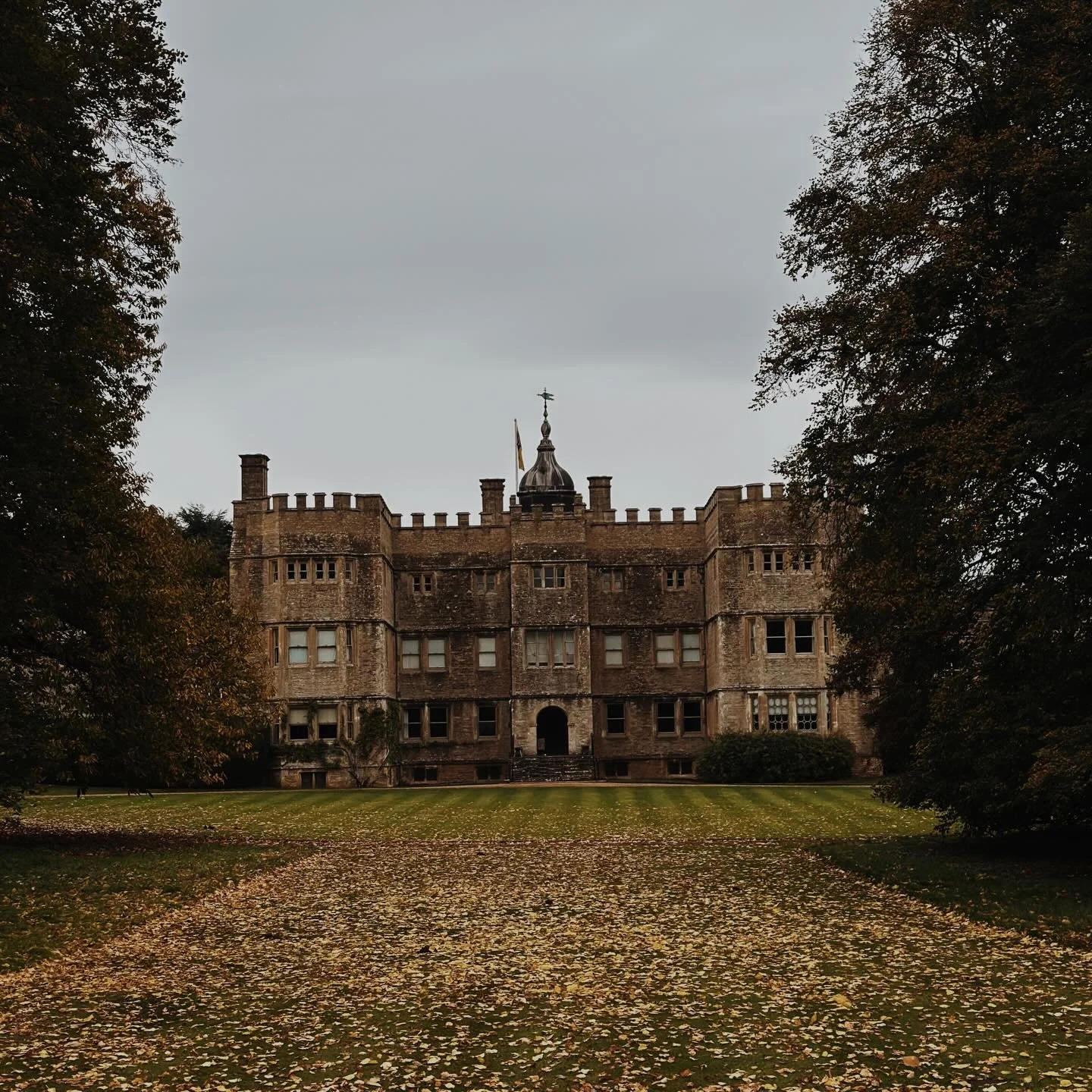 AUTUMN EVENING | ROUSHAM

Nature&rsquo;s first green is gold,
Her hardest hue to hold.
Her early leaf&rsquo;s a flower;
But only so an hour.
Then leaf subsides to leaf.
So Eden sank to grief,
So dawn goes down to day.
Nothing gold can stay.

- By Rob