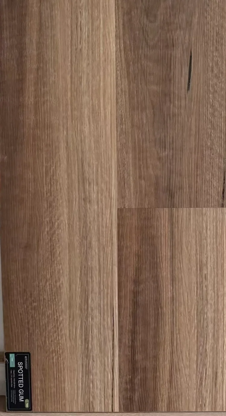 Spotted Gum 8mm Hybrid flooring colour sample