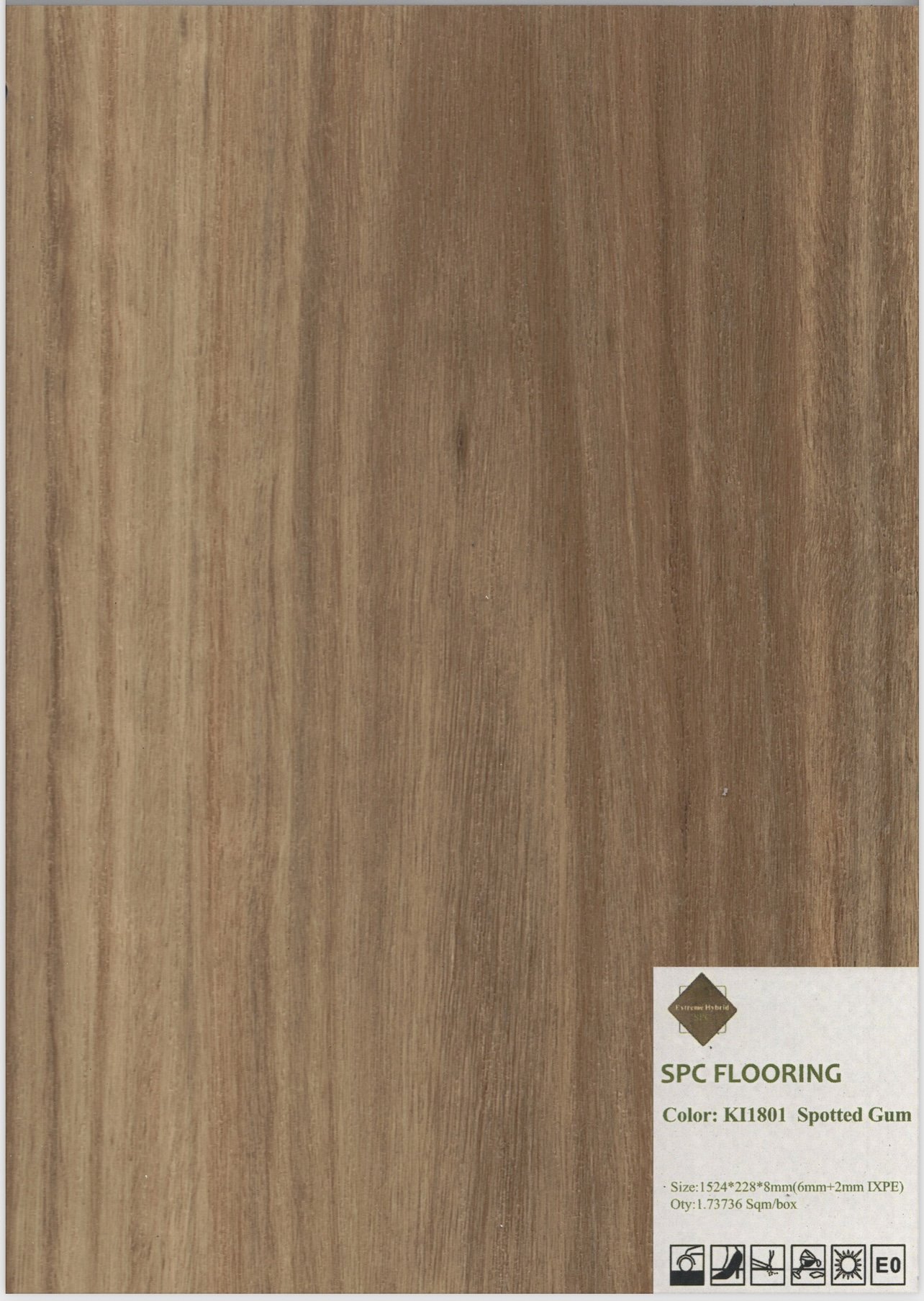 A sample of SPC flooring in Spotted Gum color, showing a wood grain pattern.