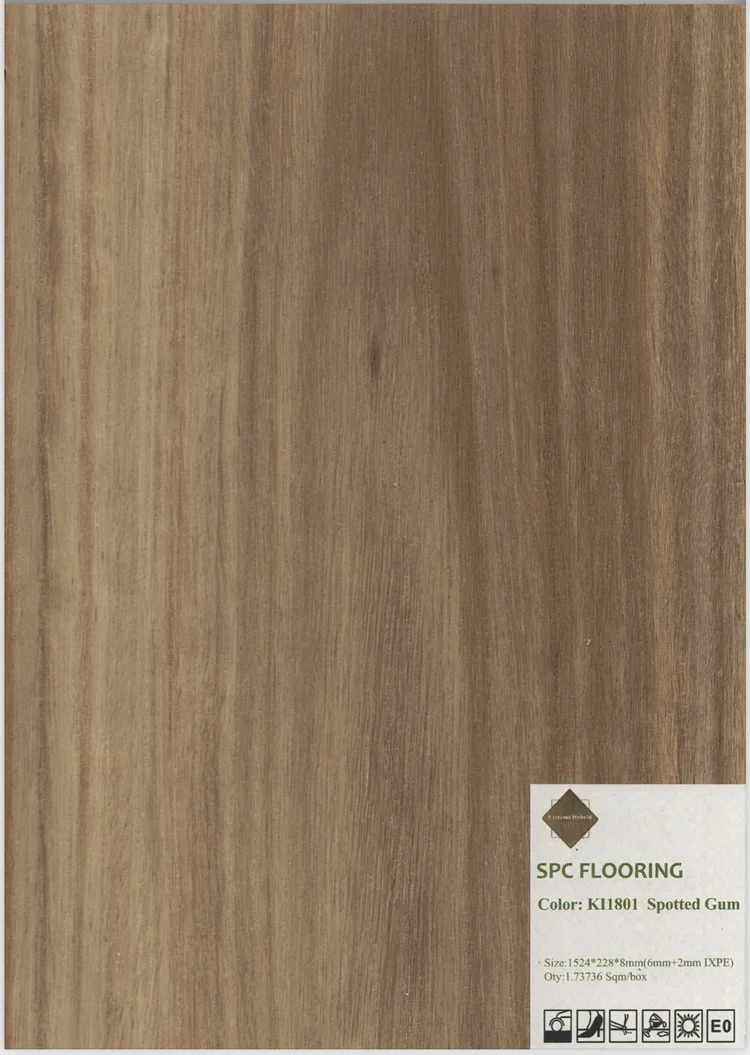 Spotted Gum flooring sample