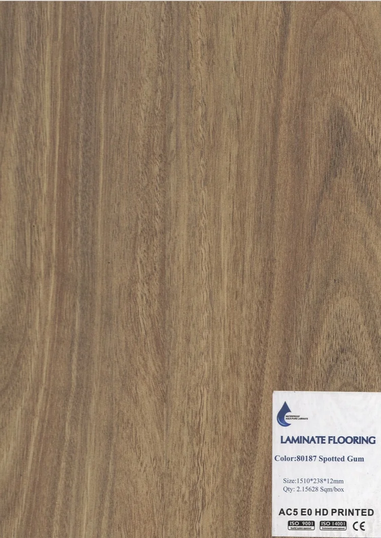 Spotted Gum
