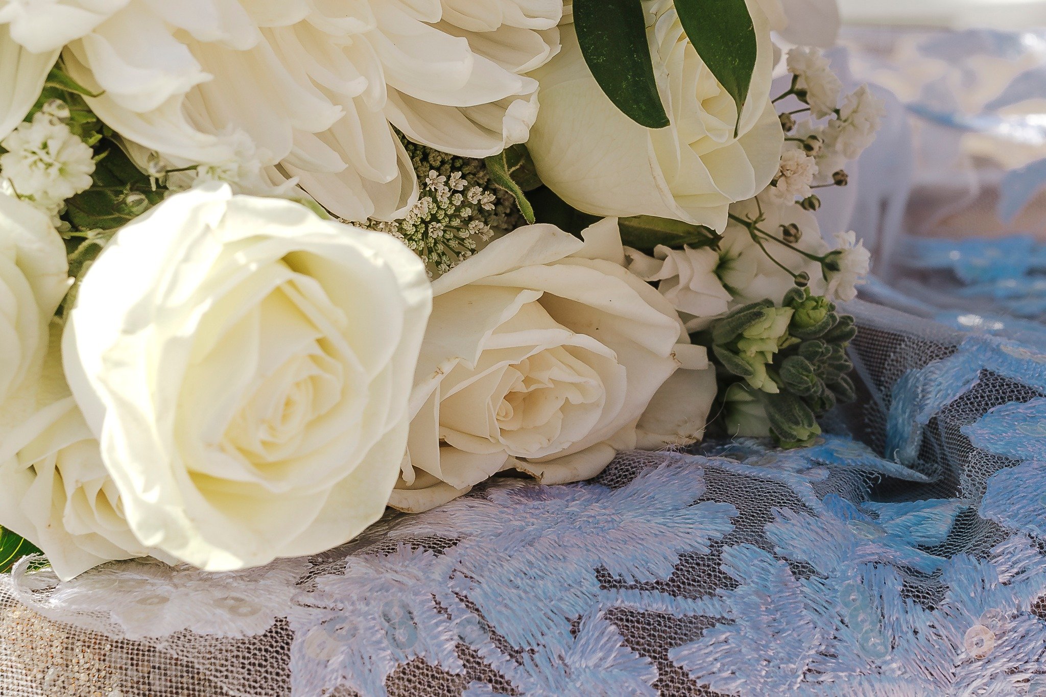 💕 Finishing up this gorgeous day today!! 🥰
#southwestweddingsuppliers #southwestweddings #loveislove #HappyHumpDayWednesday #southwestweddingphotography #southwestweddingphotographer #brookerenaephotography #CapturedWithLove #WeddingPhotographer