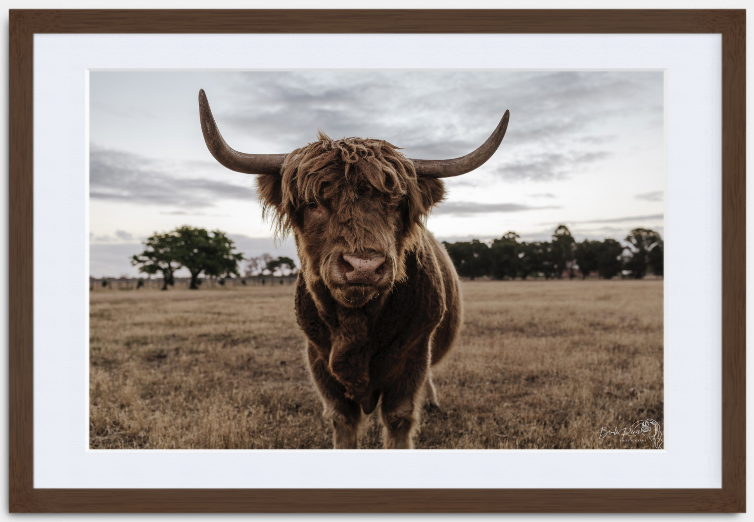 Modern Cherry Wood frame