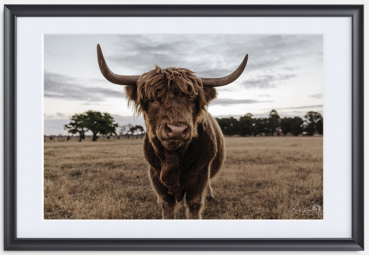 Timeless Black frame