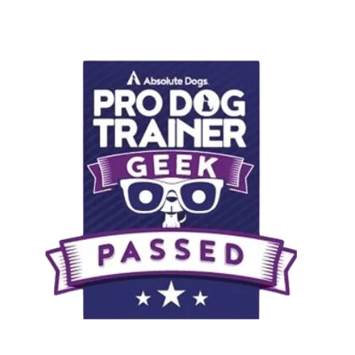 Dog Training Plymouth Flex and Paws