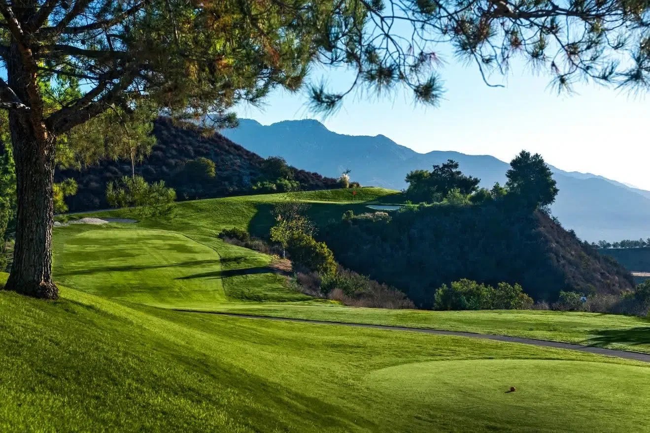 VGC + Quasar Golf Club