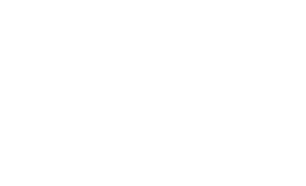zoom-01-01.png