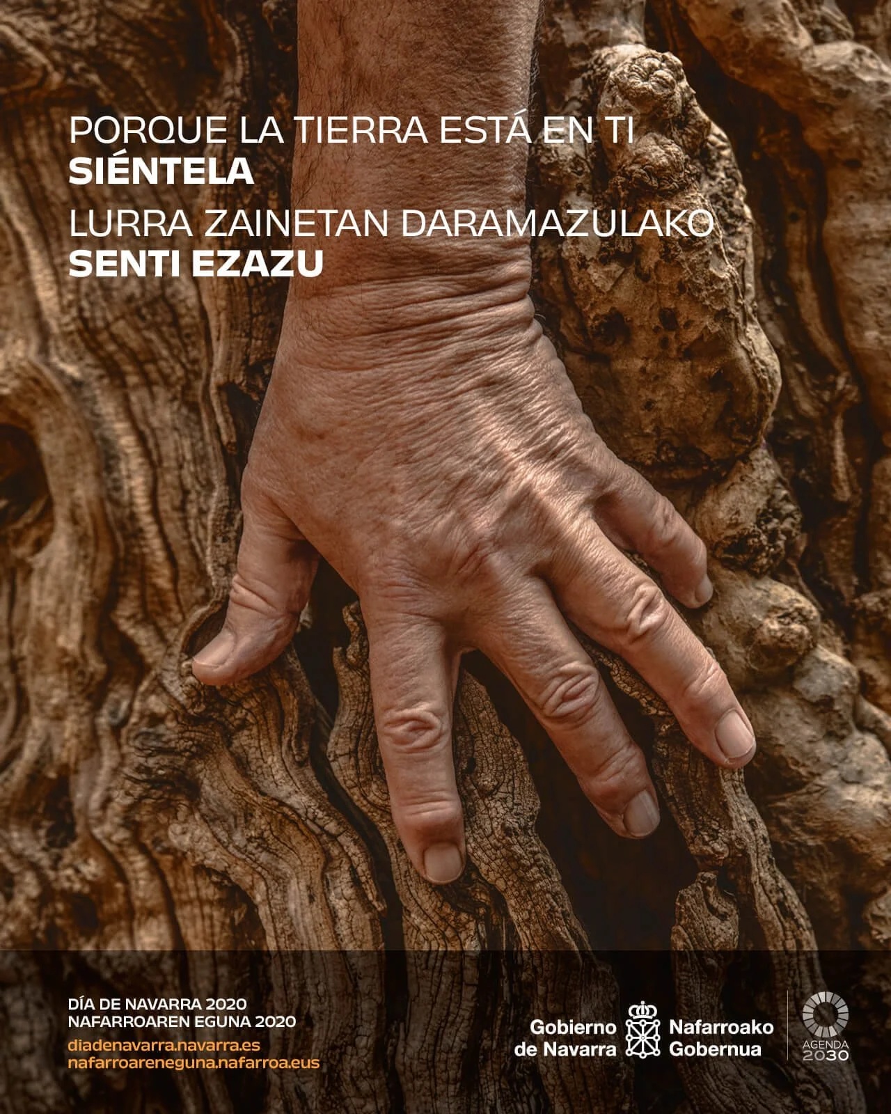 Campaña Dia de Navarra por Mikel Muruzabal fotografo de publicidad en Pamplona Madrid Barcelona Spain - 05.jpg