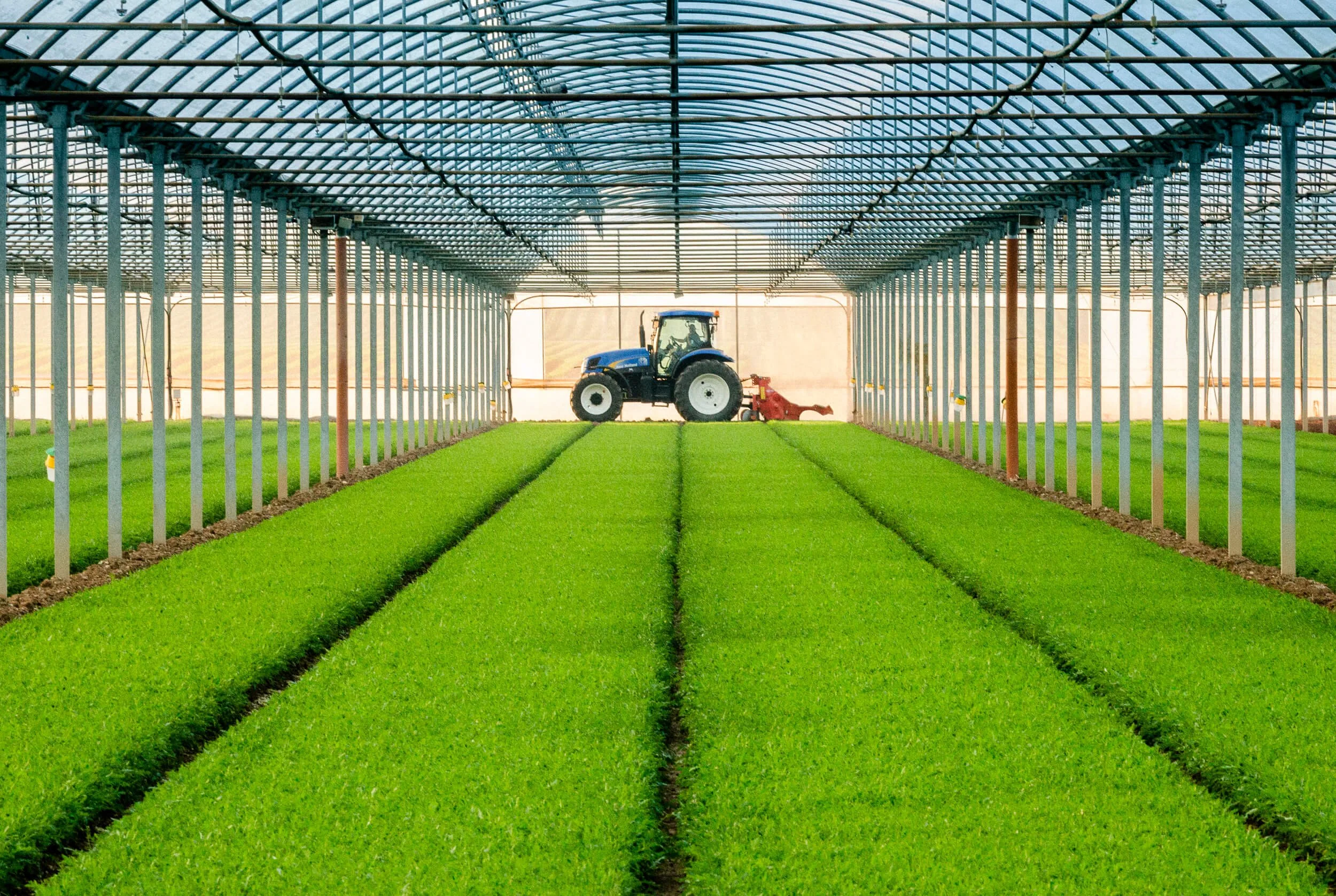 Fotografía corporativa para Florette por Mikel Muruzabal, Pamplona, Spain05.jpg