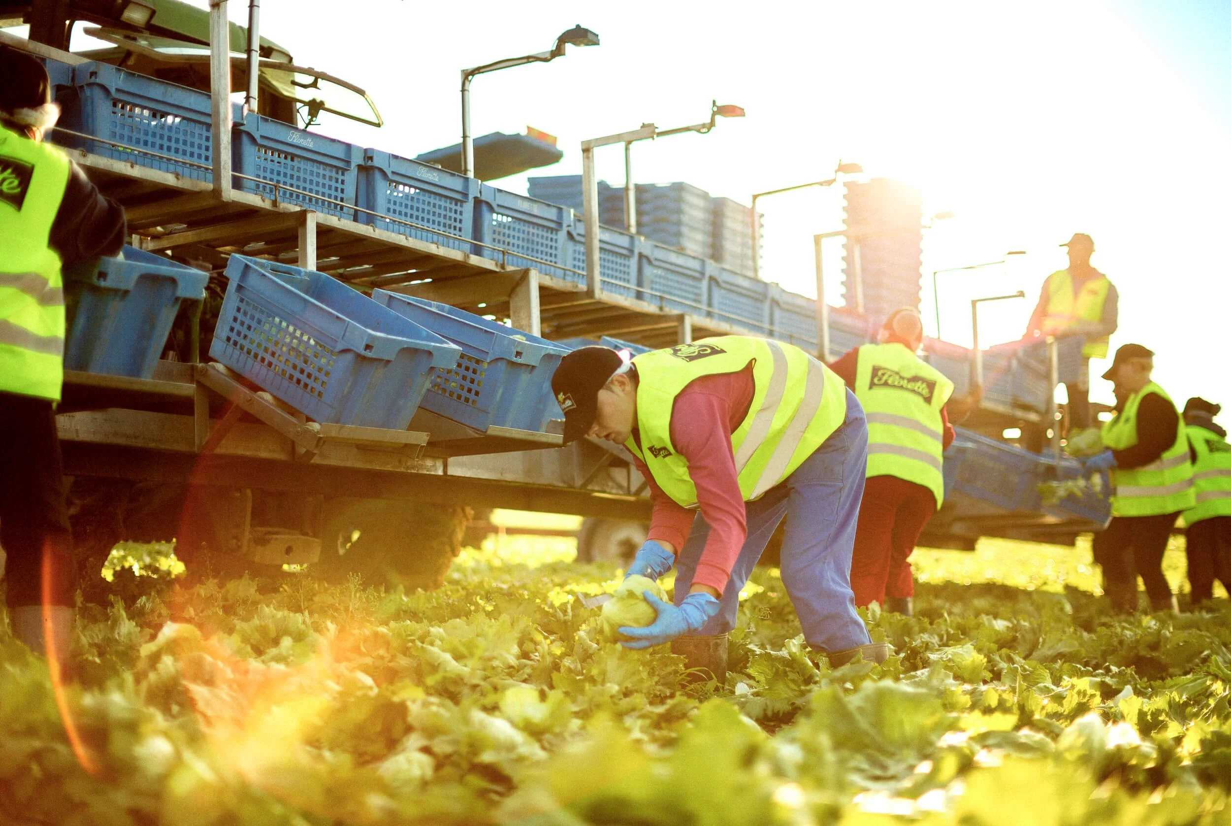 Fotografía corporativa para Florette por Mikel Muruzabal, Pamplona, Spain17.jpg