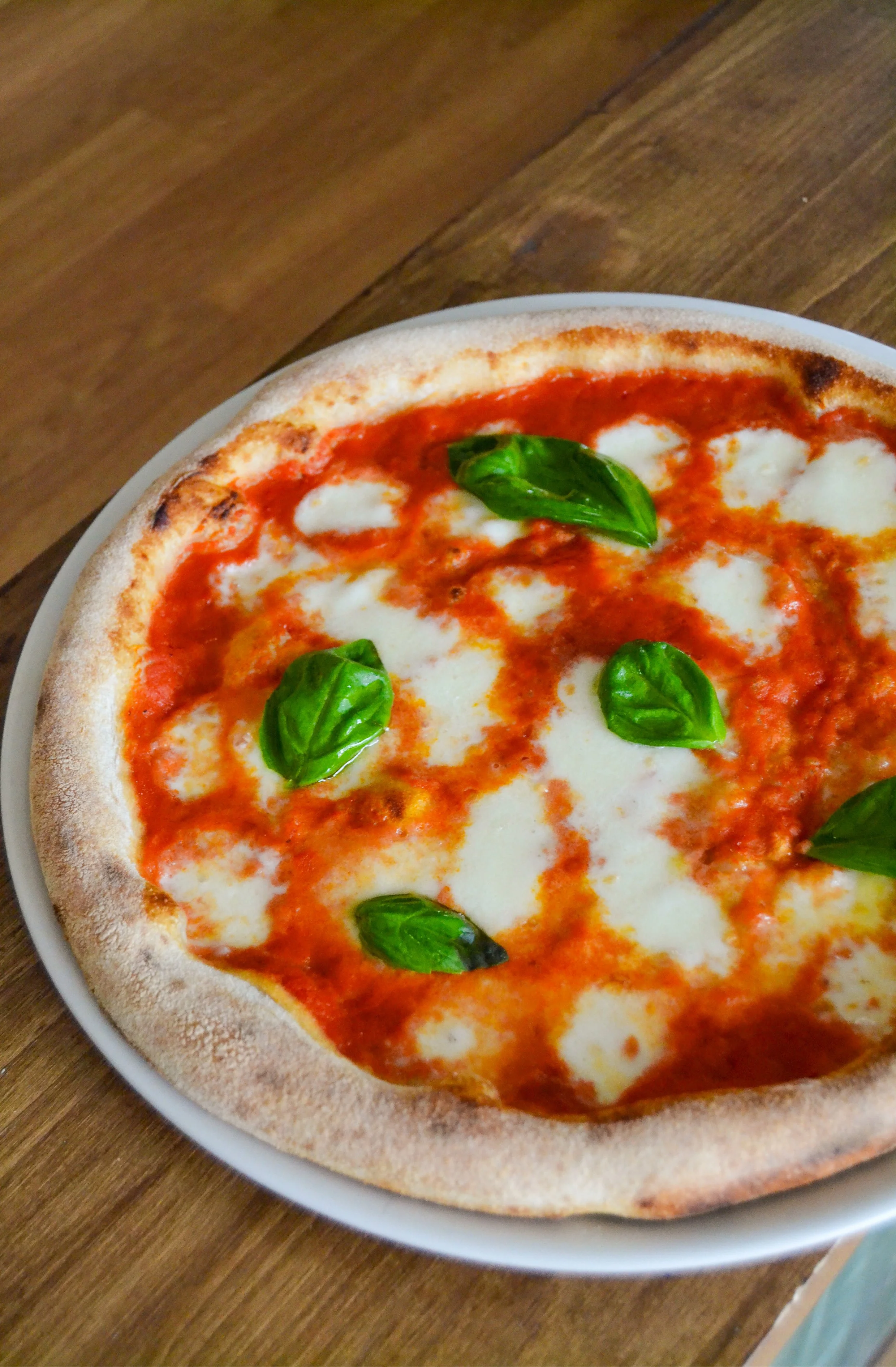 MARGHERITA