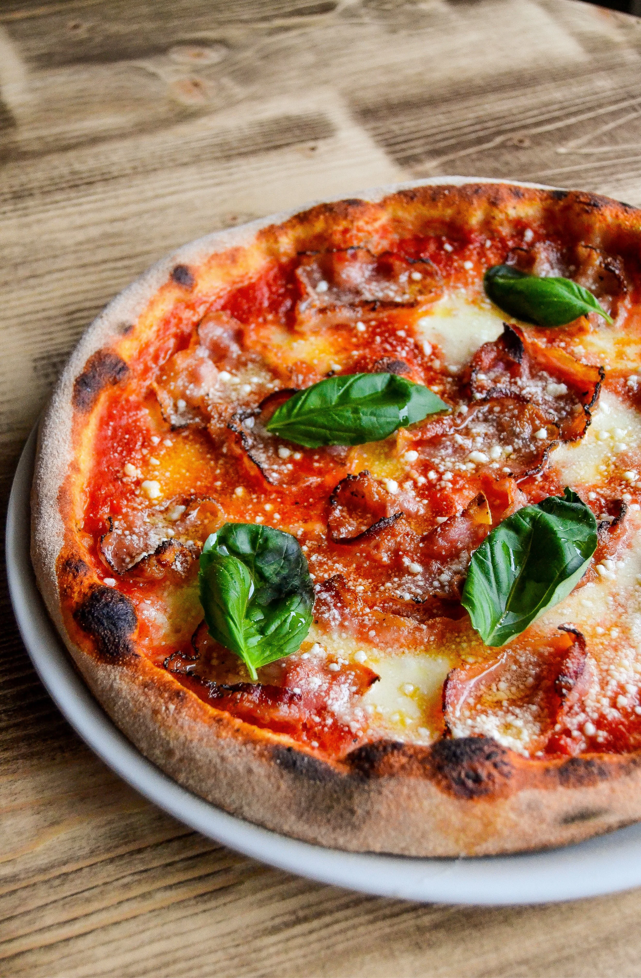 AMATRICIANA