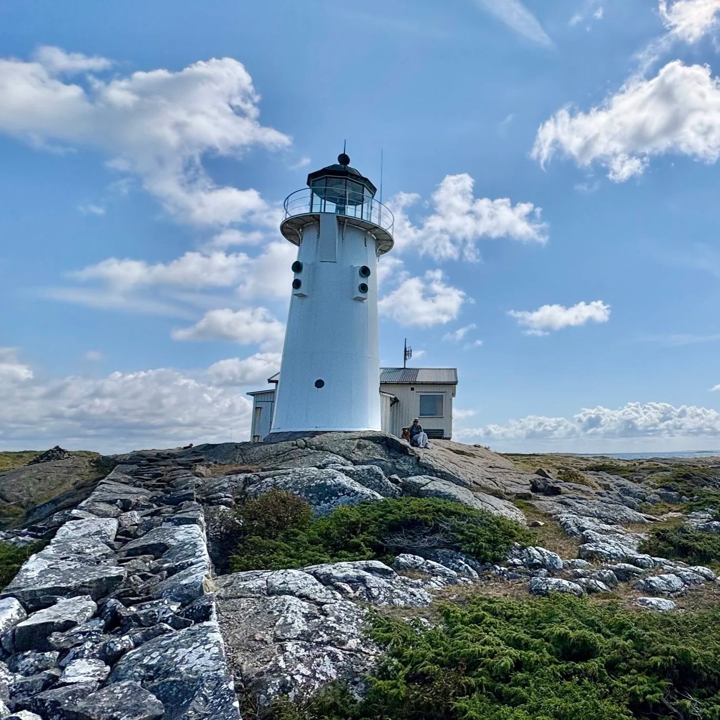 Hallands Väderö - Seabird Heaven