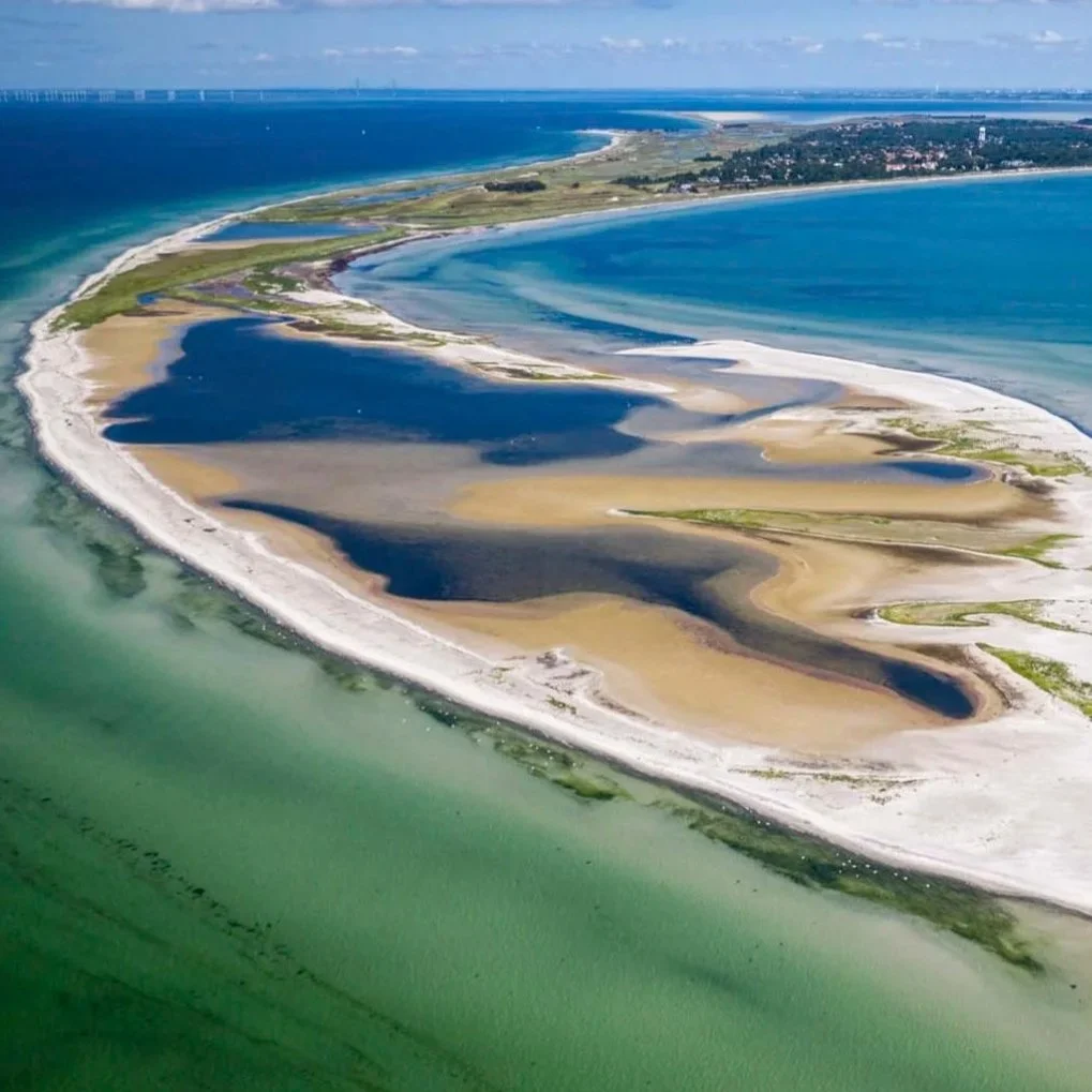 Falsterbo - Scandinavia’s premier migration hotspot