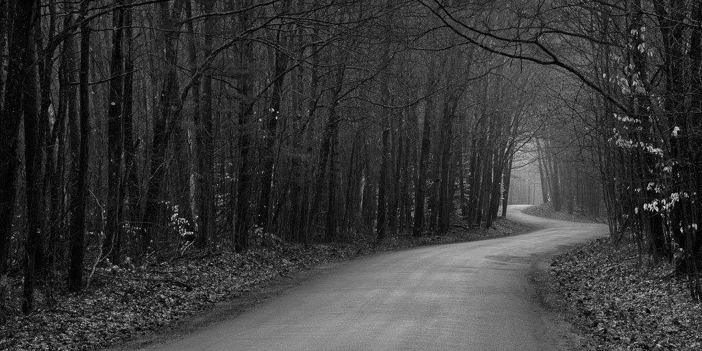 Winding Road Through Dark Woods 
Awenda Provincial Park, Ontario, Canada
