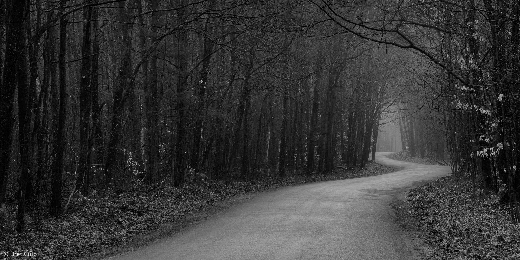 A black and white photo of a winding road through dark foggy autumn woods in Awenda Park, Ontario, by Bret Culp.