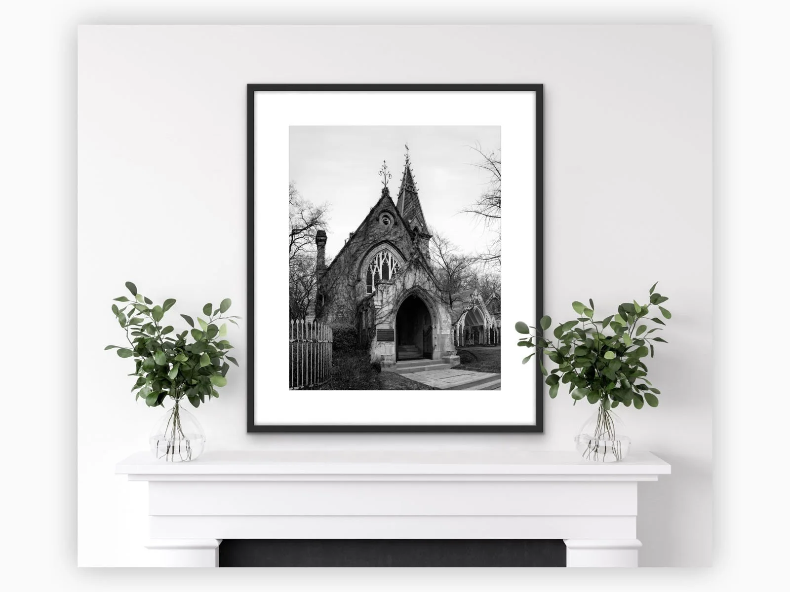 Winter 2025 Photography Update 