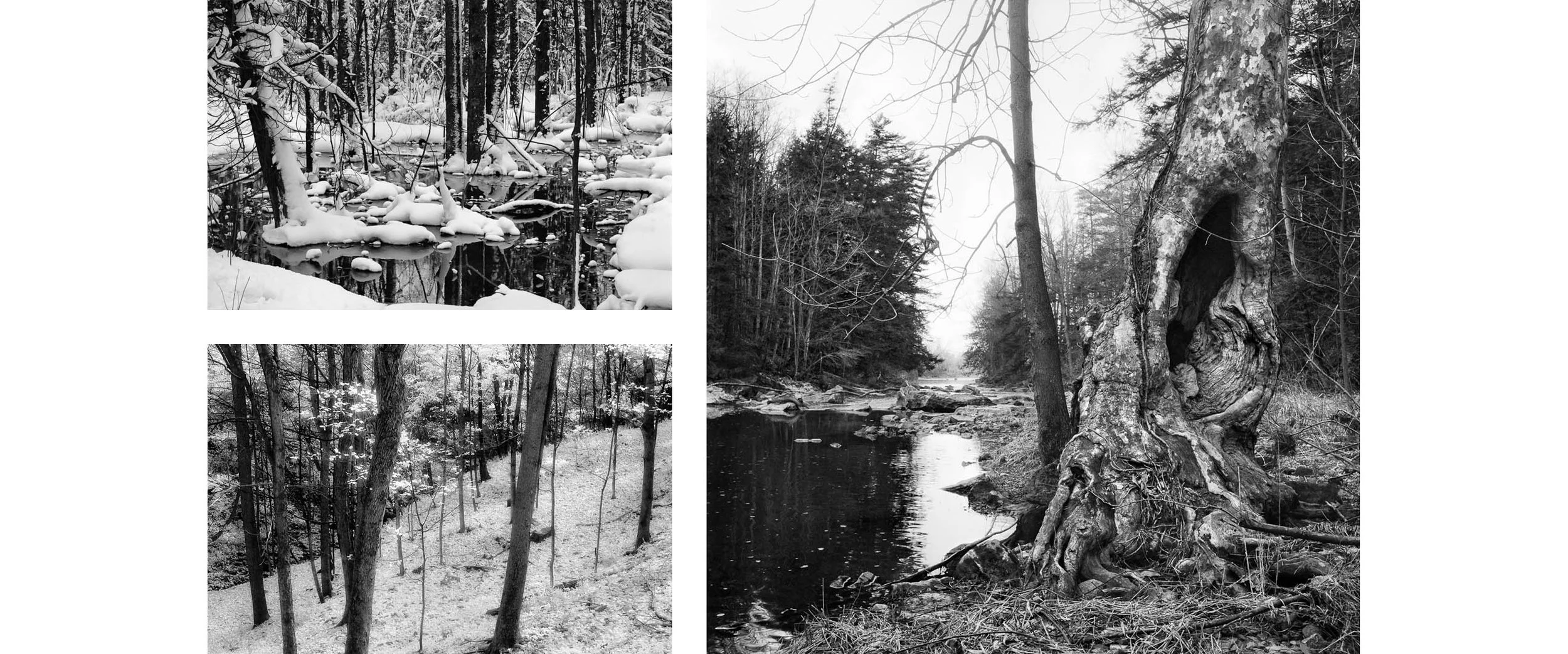 Black and white photographs of a winter pond, a sycamore tree, and a forest landscape by Bret Culp, featured in the testimonials section on the homepage.