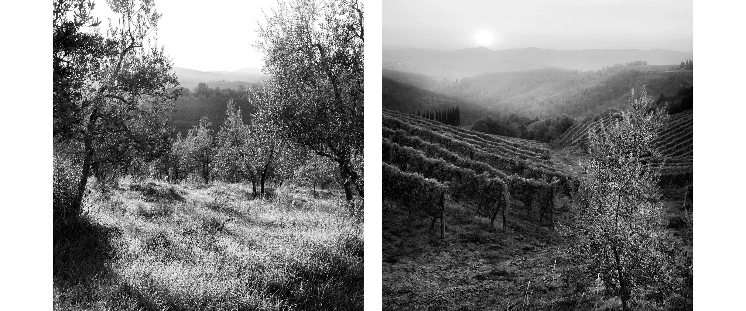 Black and white photographs of a Tuscan sunrise and sunset over a vineyard landscape in Tuscany, Italy by Bret Culp, featured in the testimonials section on the homepage.