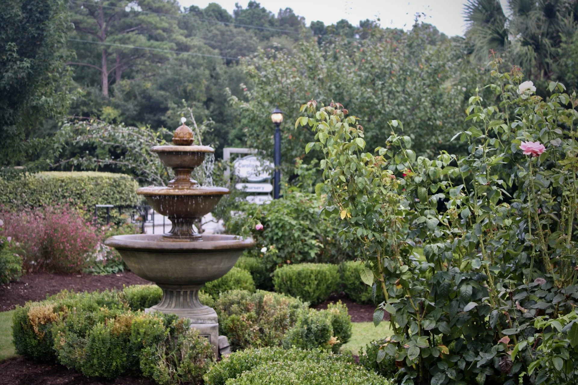 Project Six - Carolina Home and Garden