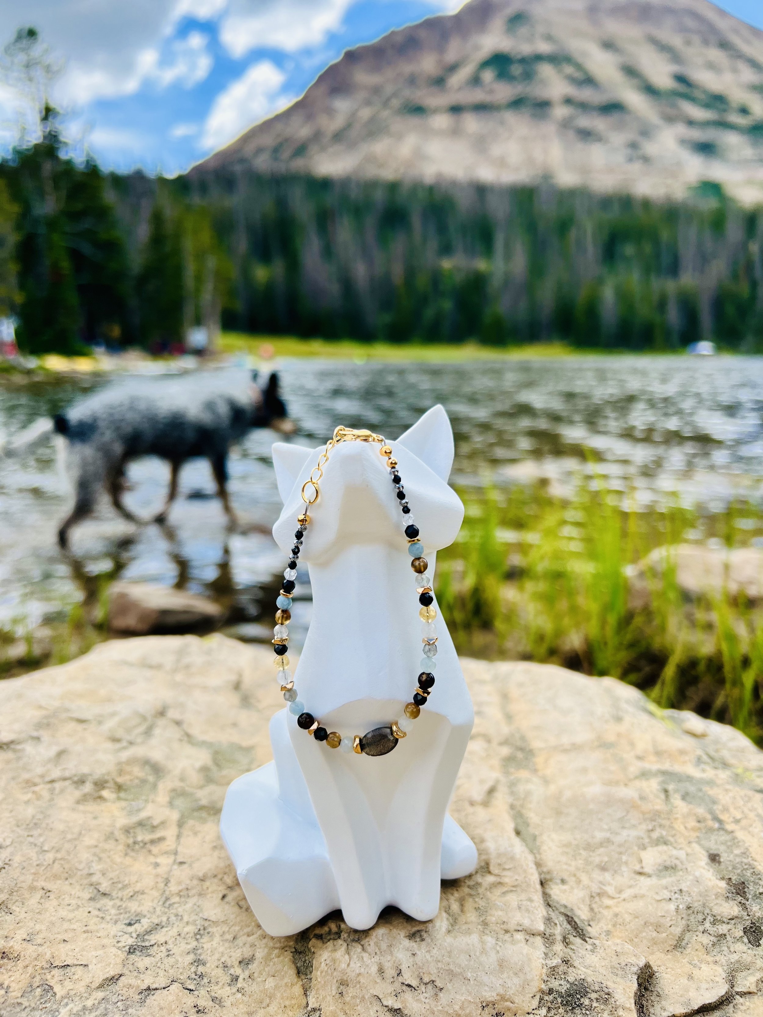 Trail Dog model shaw.jpg