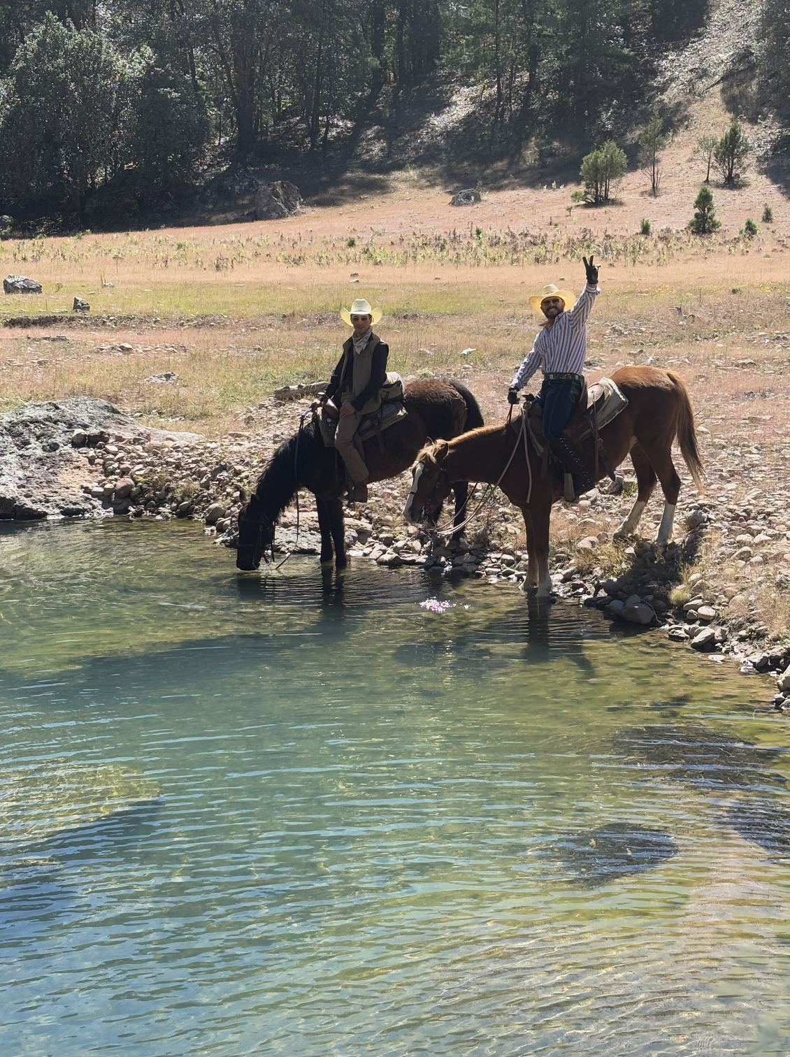 Screenshot 2026-03-22 at 10.46.08 a.m..png