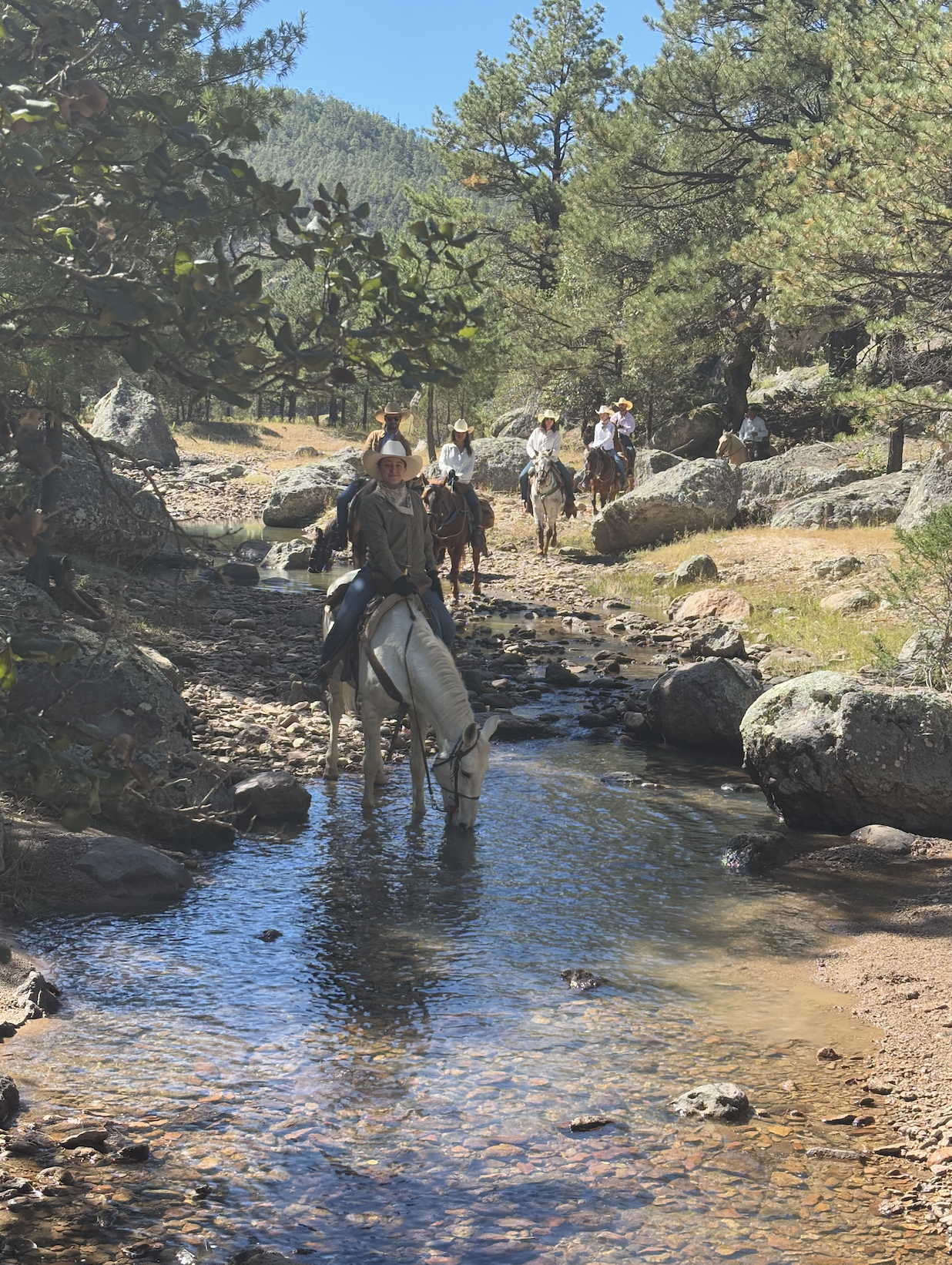 Screenshot 2026-03-22 at 10.45.58 a.m..png