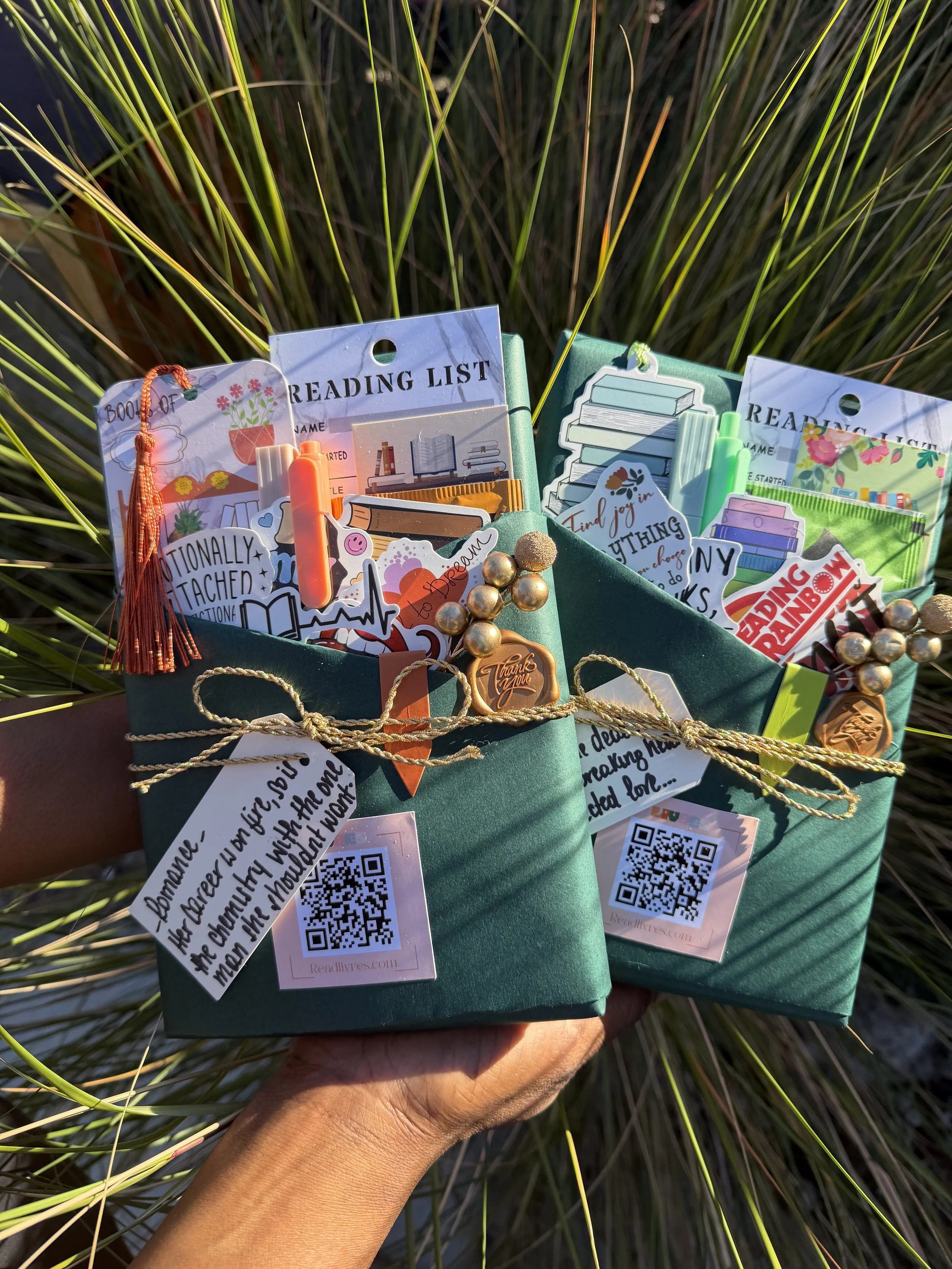 Blind Date With A Book -Christmas Theme