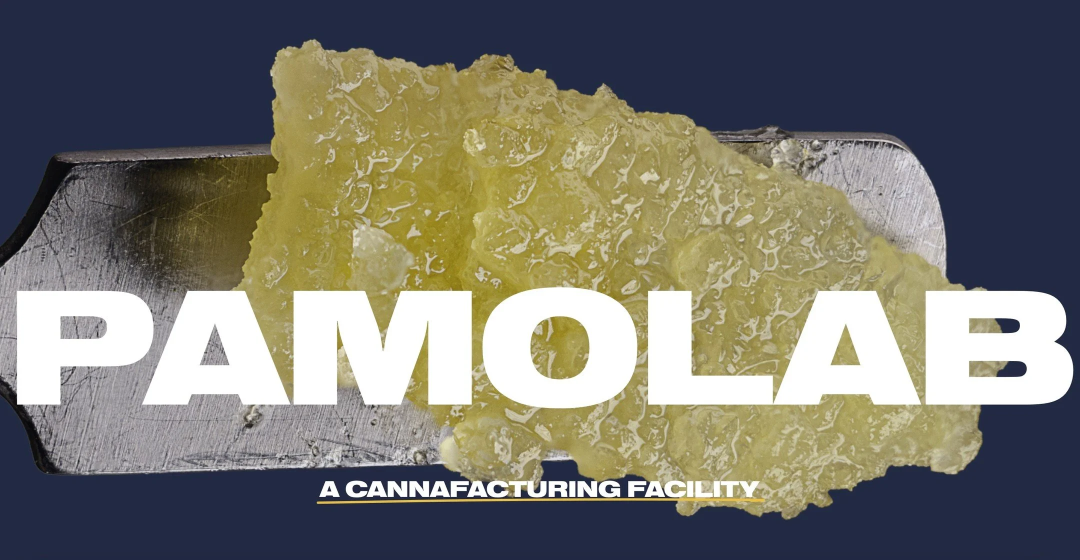 New website is live and running. Take a look for yourself!!!