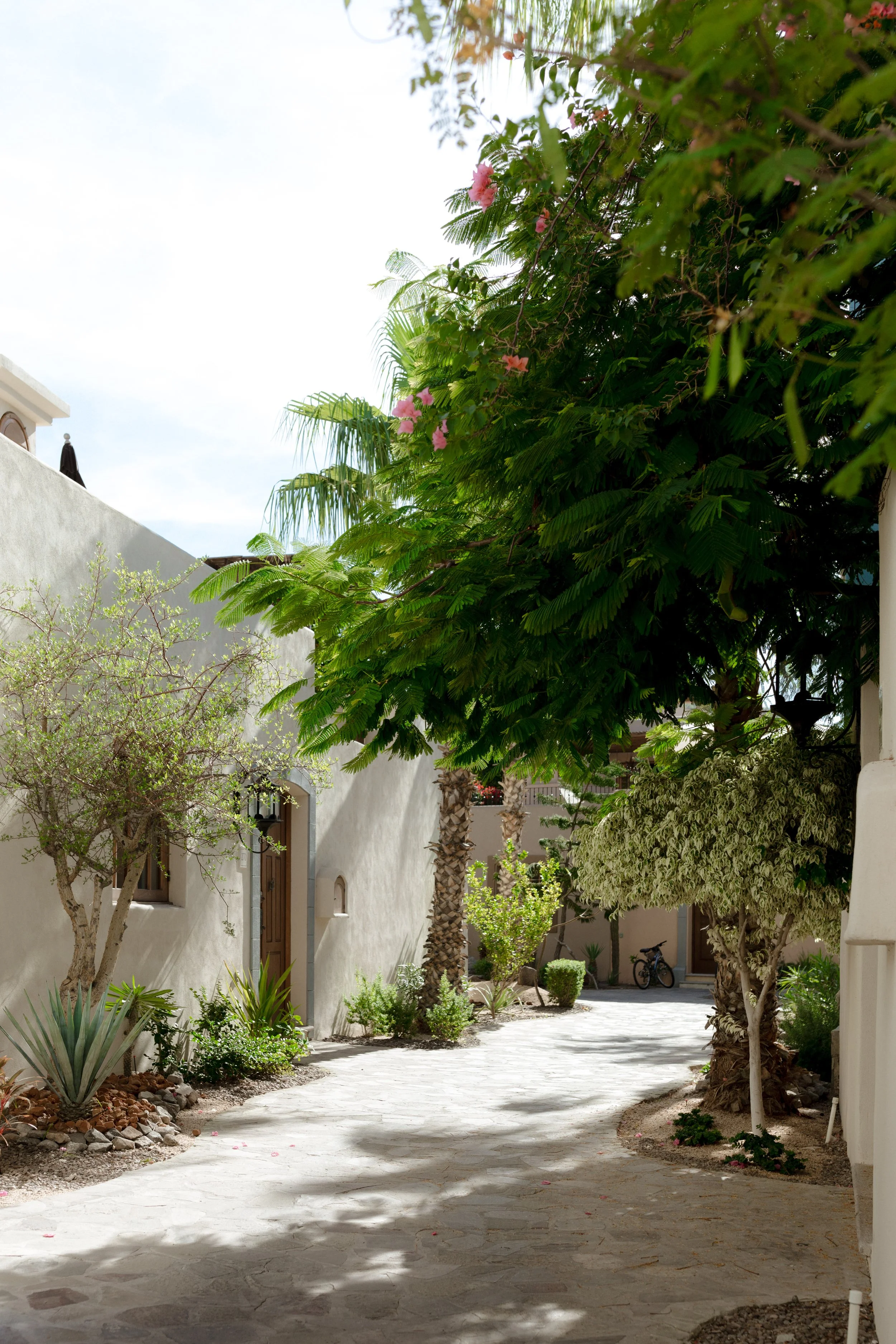 a-destination-wedding-in-baja-katie-salerno-photography-29.jpg