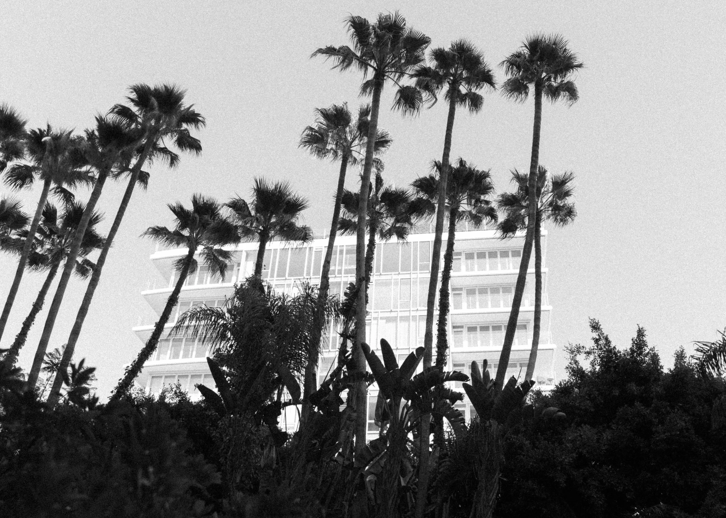 FOUR-SEASONS-HOTEL-LOS-ANGELES-AT-BEVERLY-HILLS-WEDDING-KSP-STUDIO-PREP-4.jpg