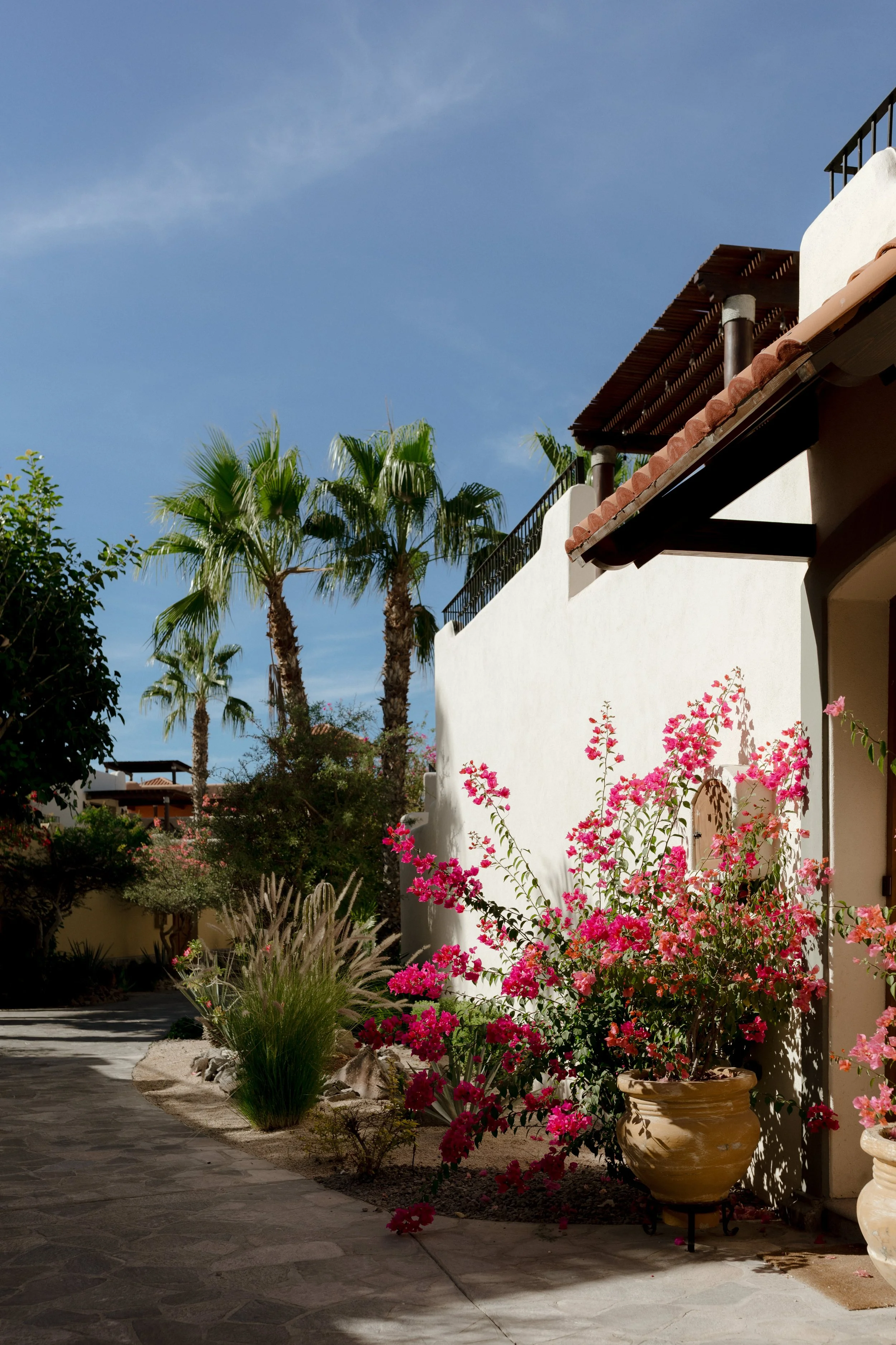 a-destination-wedding-in-baja-katie-salerno-photography-26.jpg