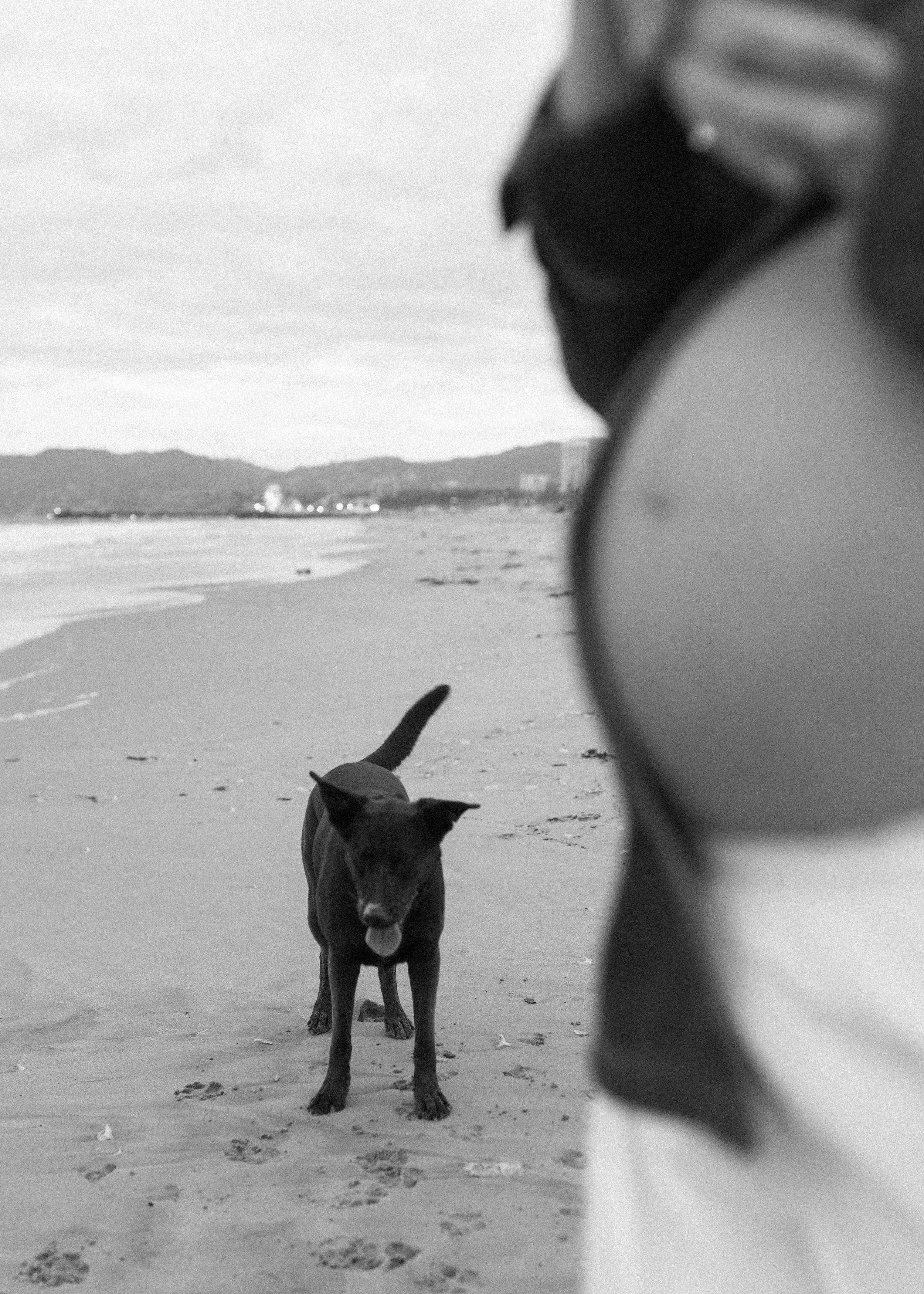 SANTA-MONICA-MATERNITY-EVENING-SESSION-KSP-STUDIO-135.jpg