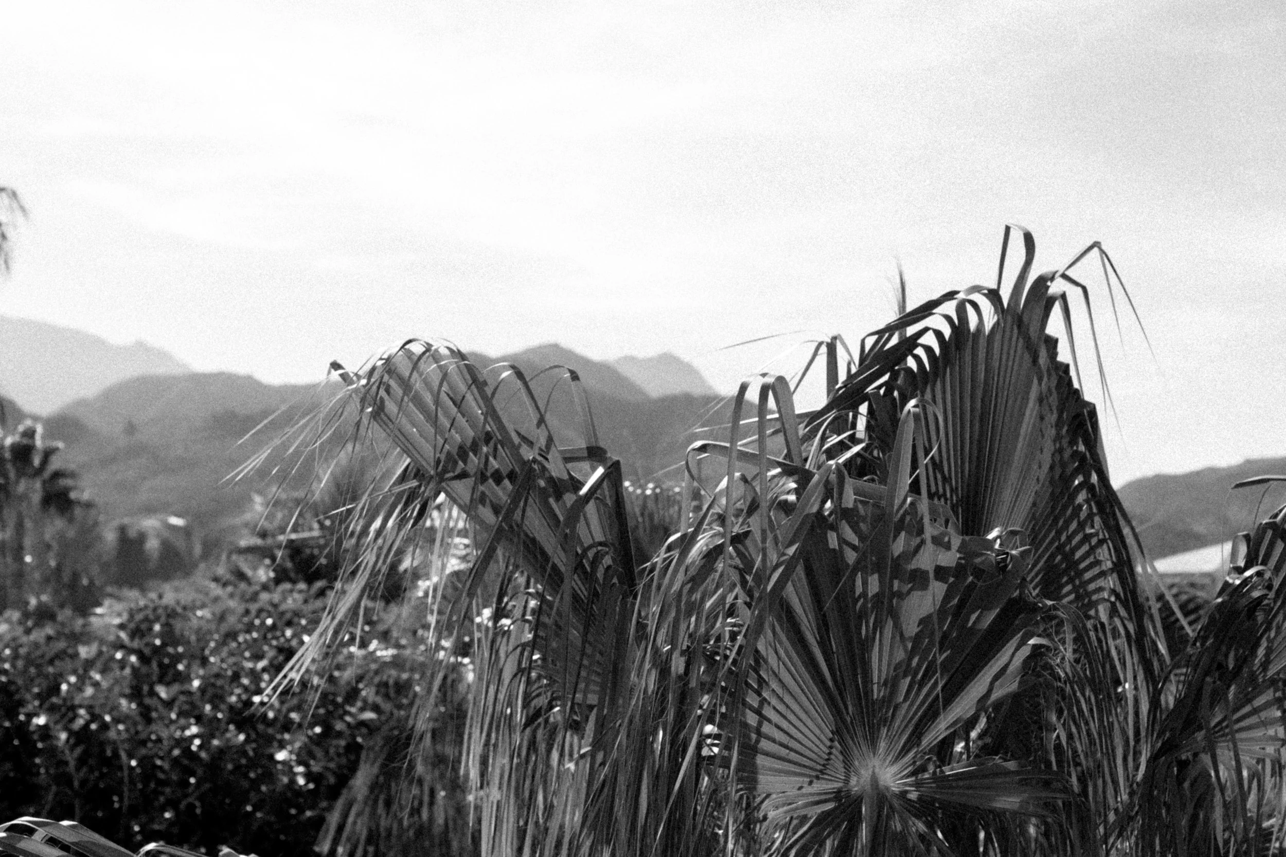 a-destination-wedding-in-baja-katie-salerno-photography-16.jpg