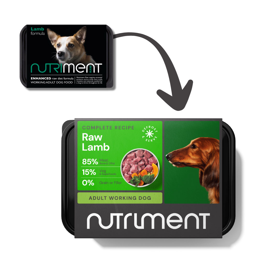 100224_lamb_500g_new_3.png