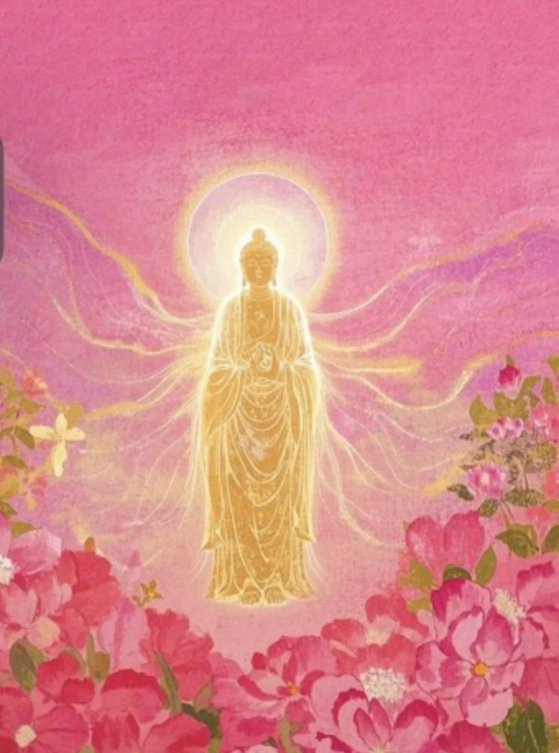 Rose Dieta (Online)