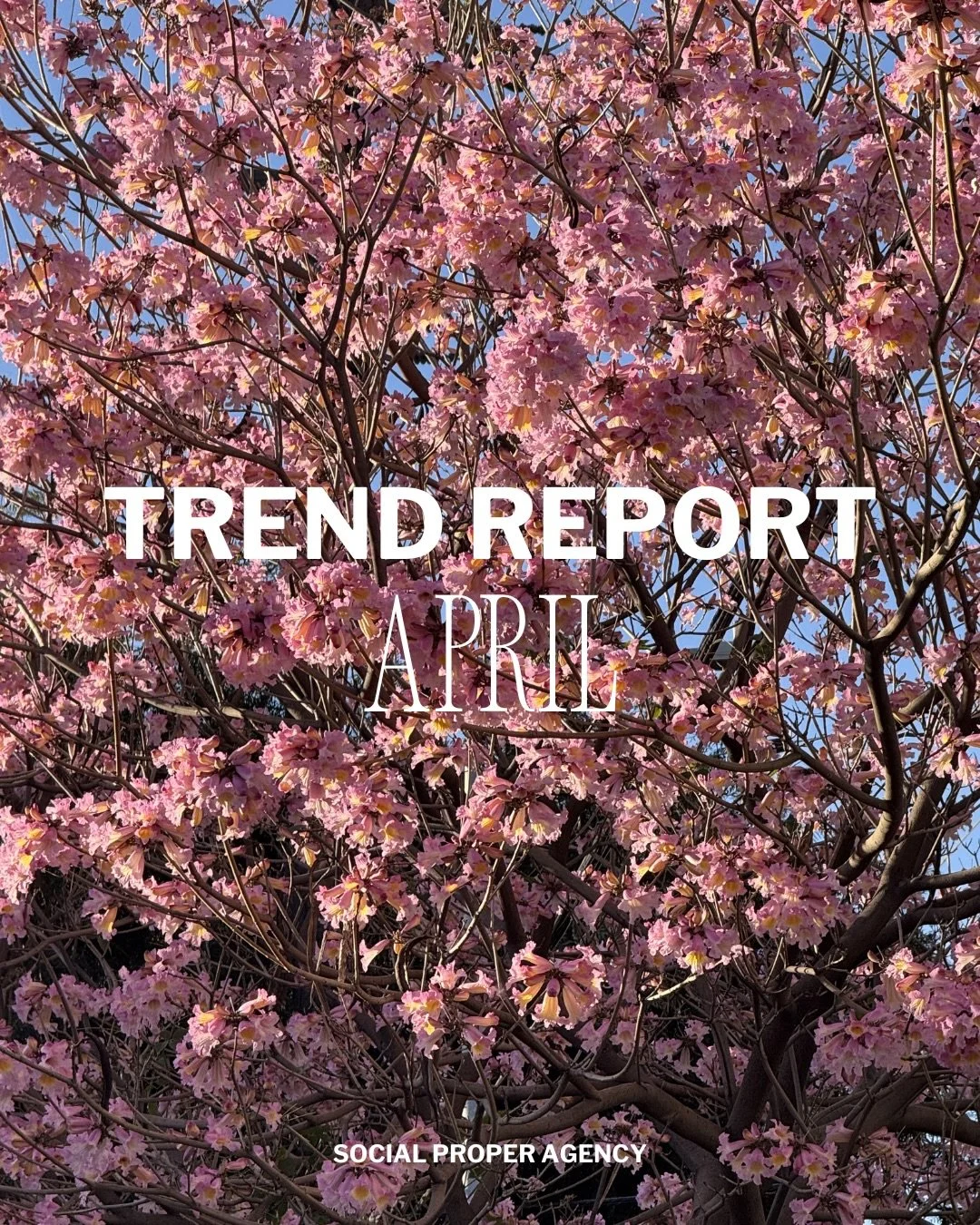 In Season 🌸 Here are some trends we are loving and why we love them!
.
.
.
.
#socialproper #socialmediaagency #losangeles #socialmediamarketing #contentcreationagency