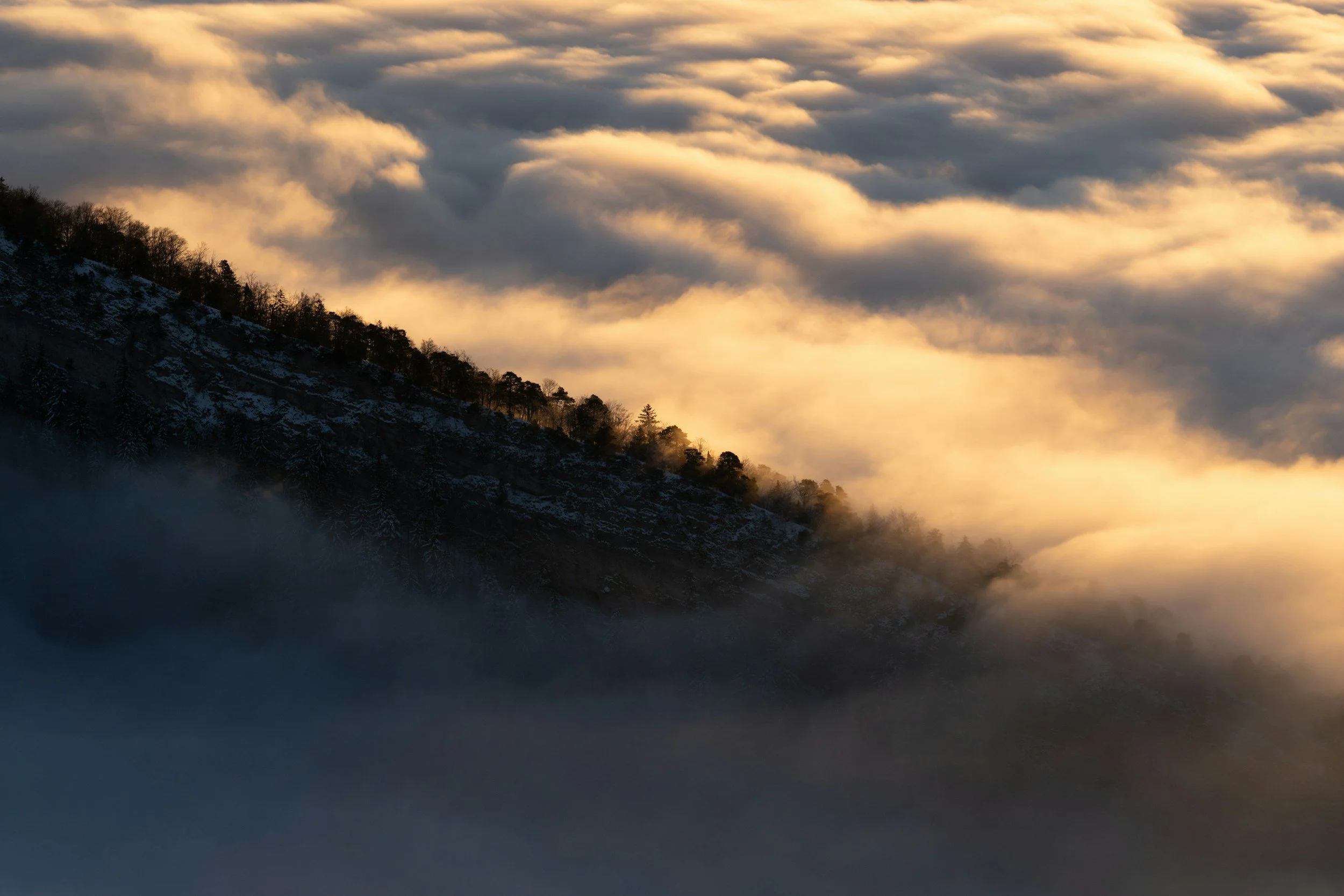 The Holiness of God: Who He Is and Who We Are Called to Be