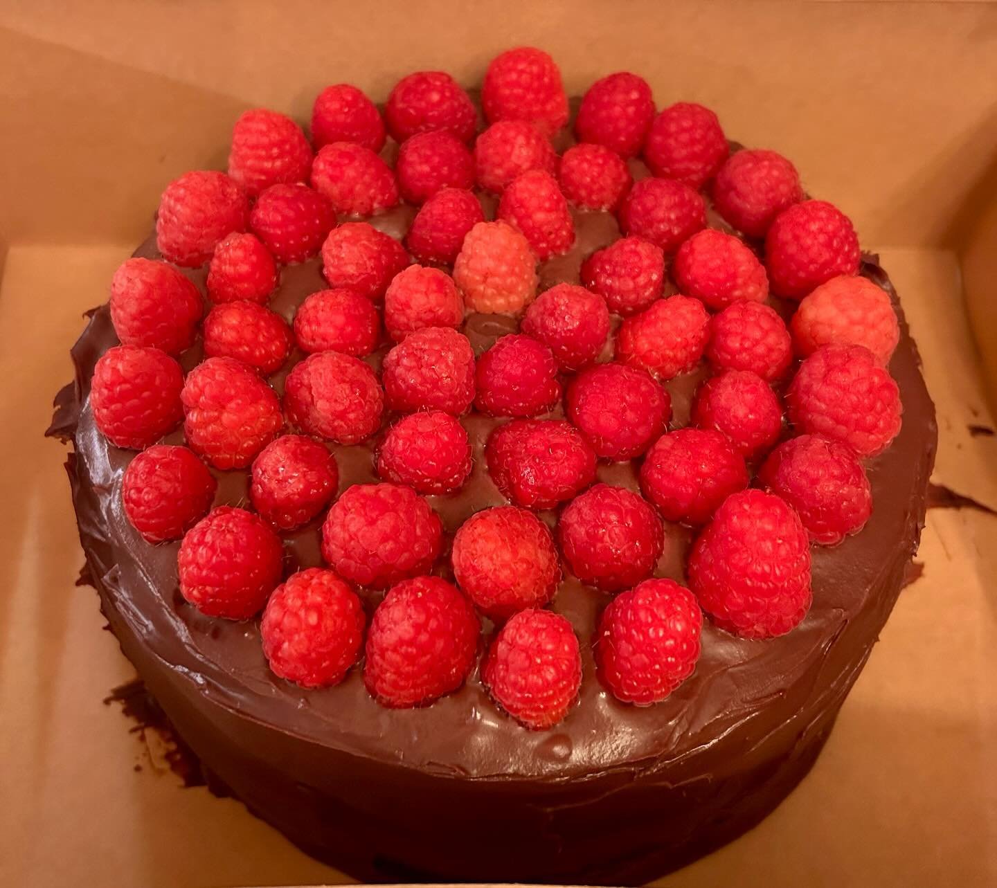 If this cake is a good enough introduction to the best baking show of all time, it seems like a great way to introduce myself!
Hi yall, if you’re interested in custom cakes, cupcakes, scones, cookies, sourdough or yeasted breads, let’s