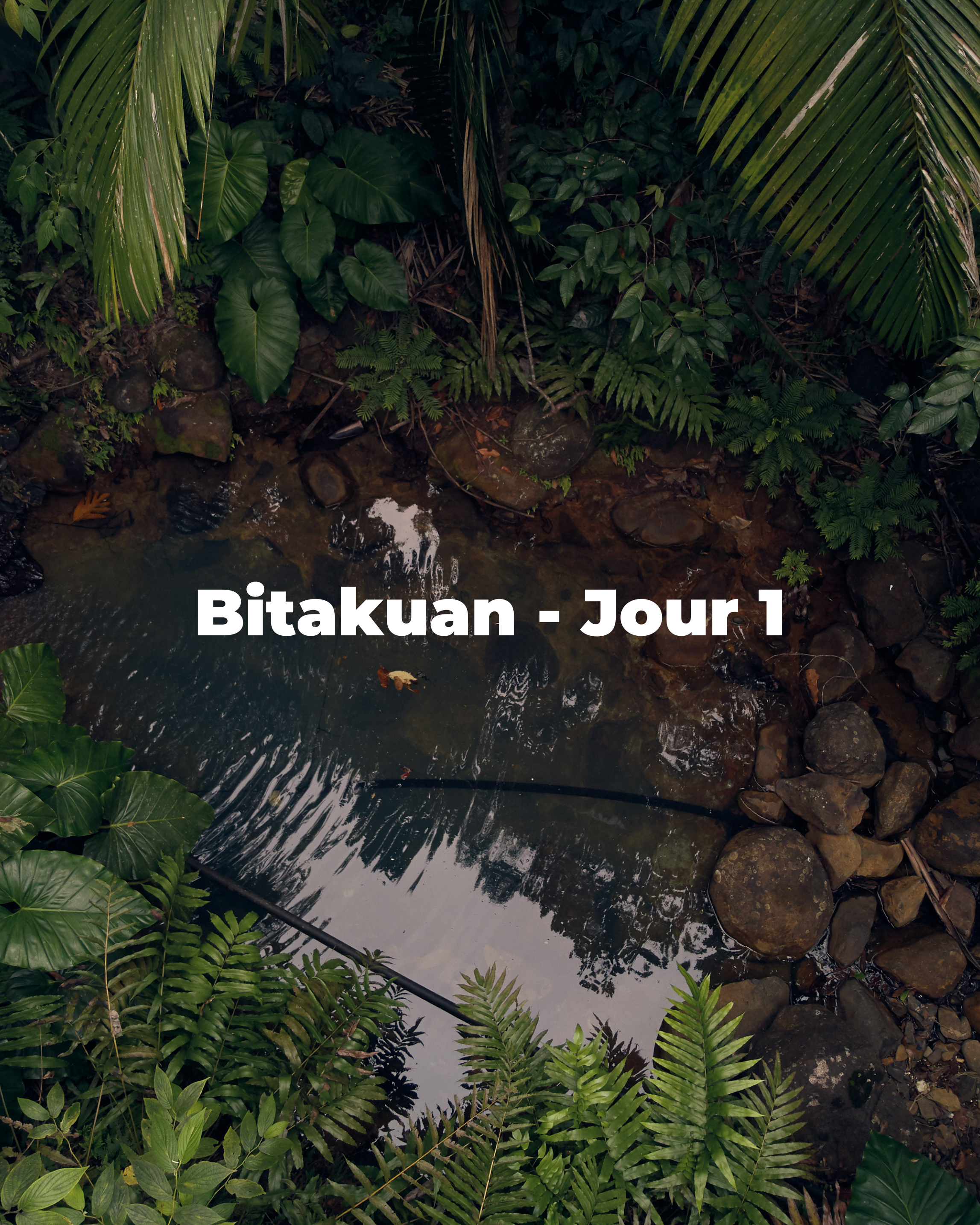 Bitakuan - Jour 1