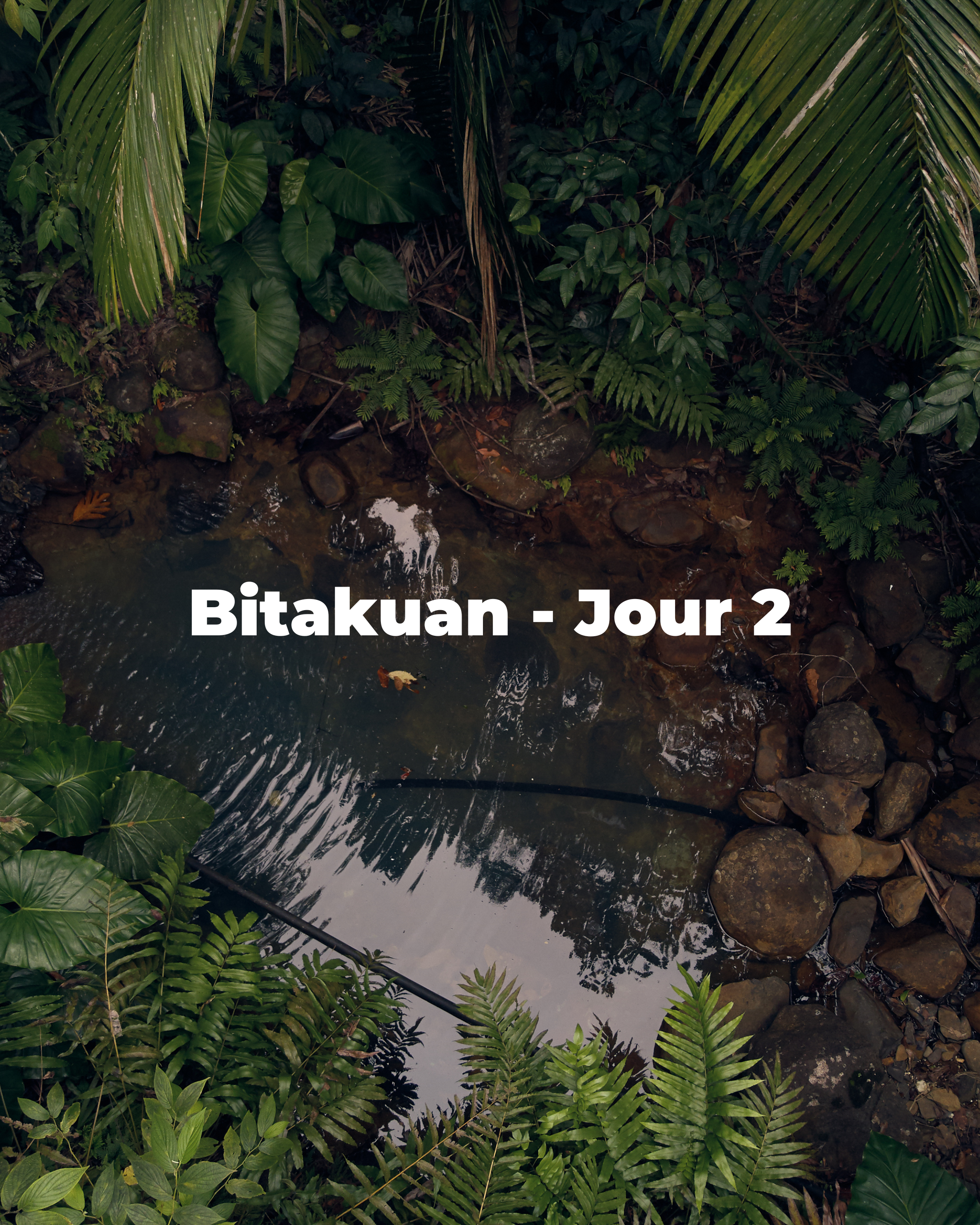 Bitakuan - Jour 2 (non disponible 23/01/26 au 25/01/26)