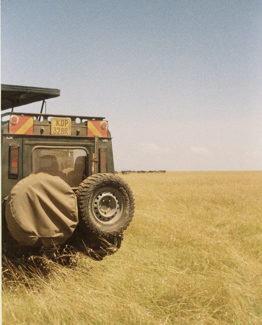 Maasai Mara, Kenya