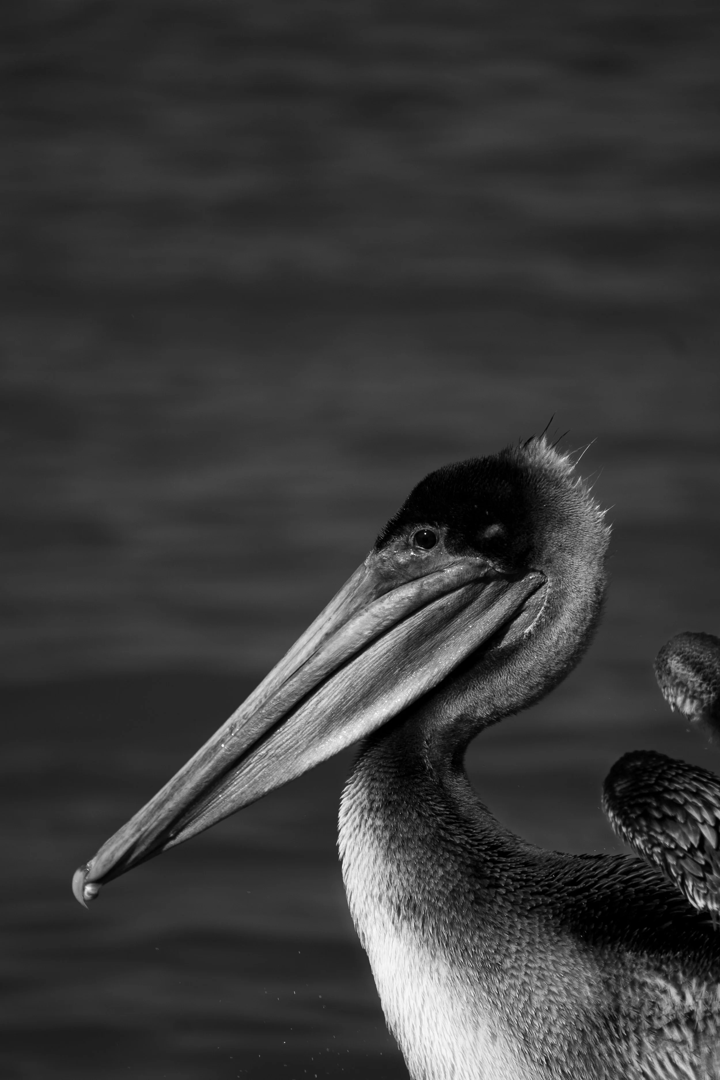 December 2025, Florida 